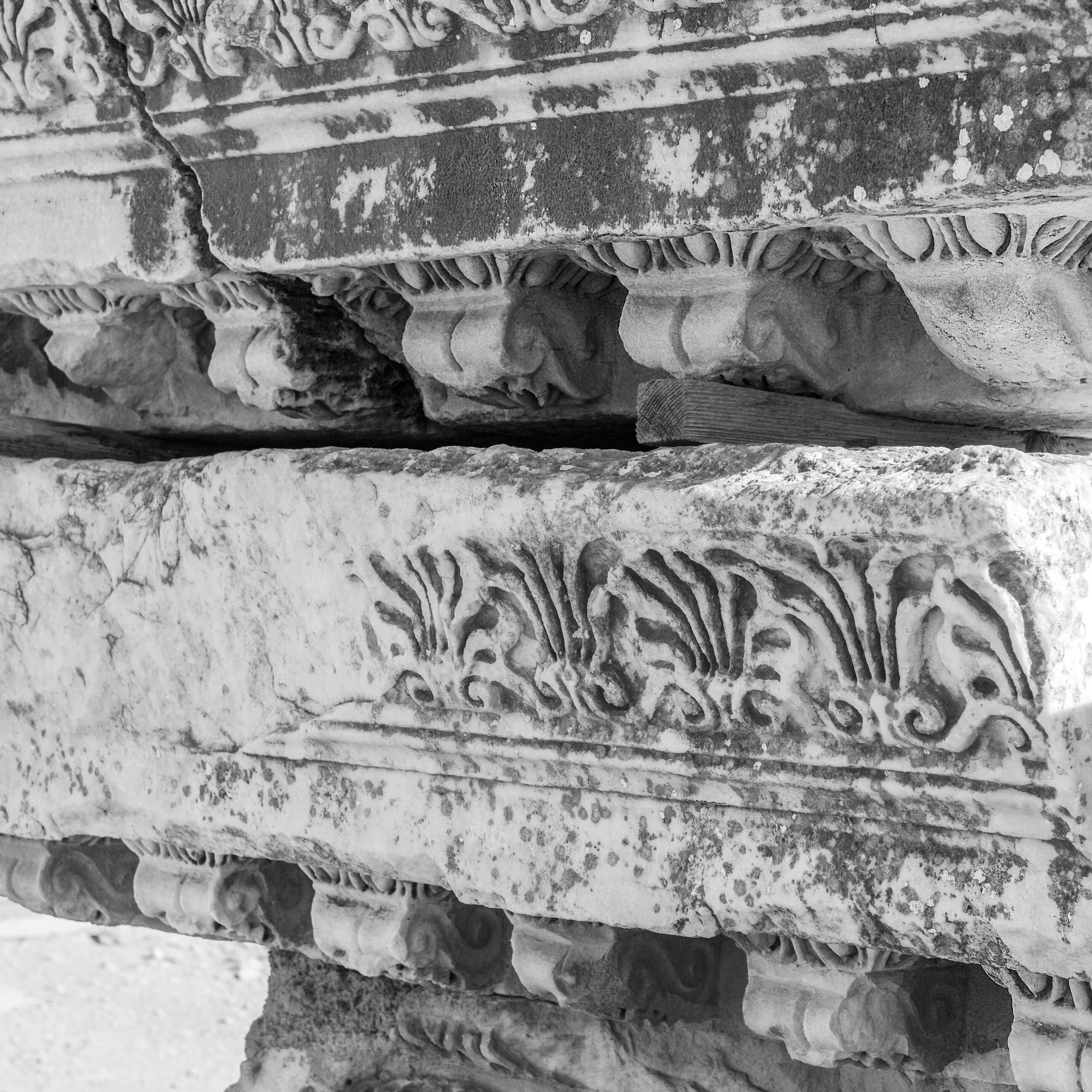 Fashion Photographer Liudmila Kuzmnko