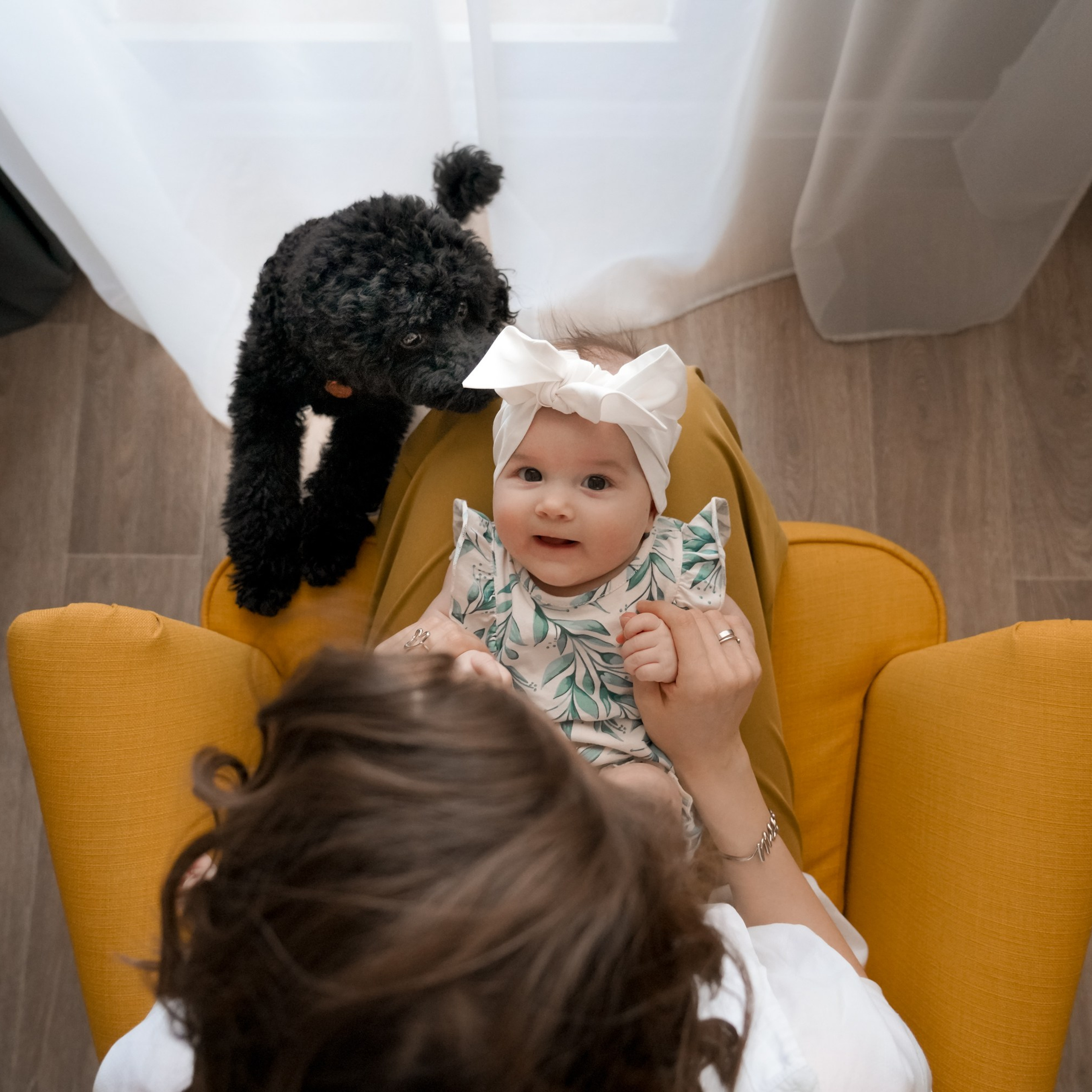 Семейные домашние