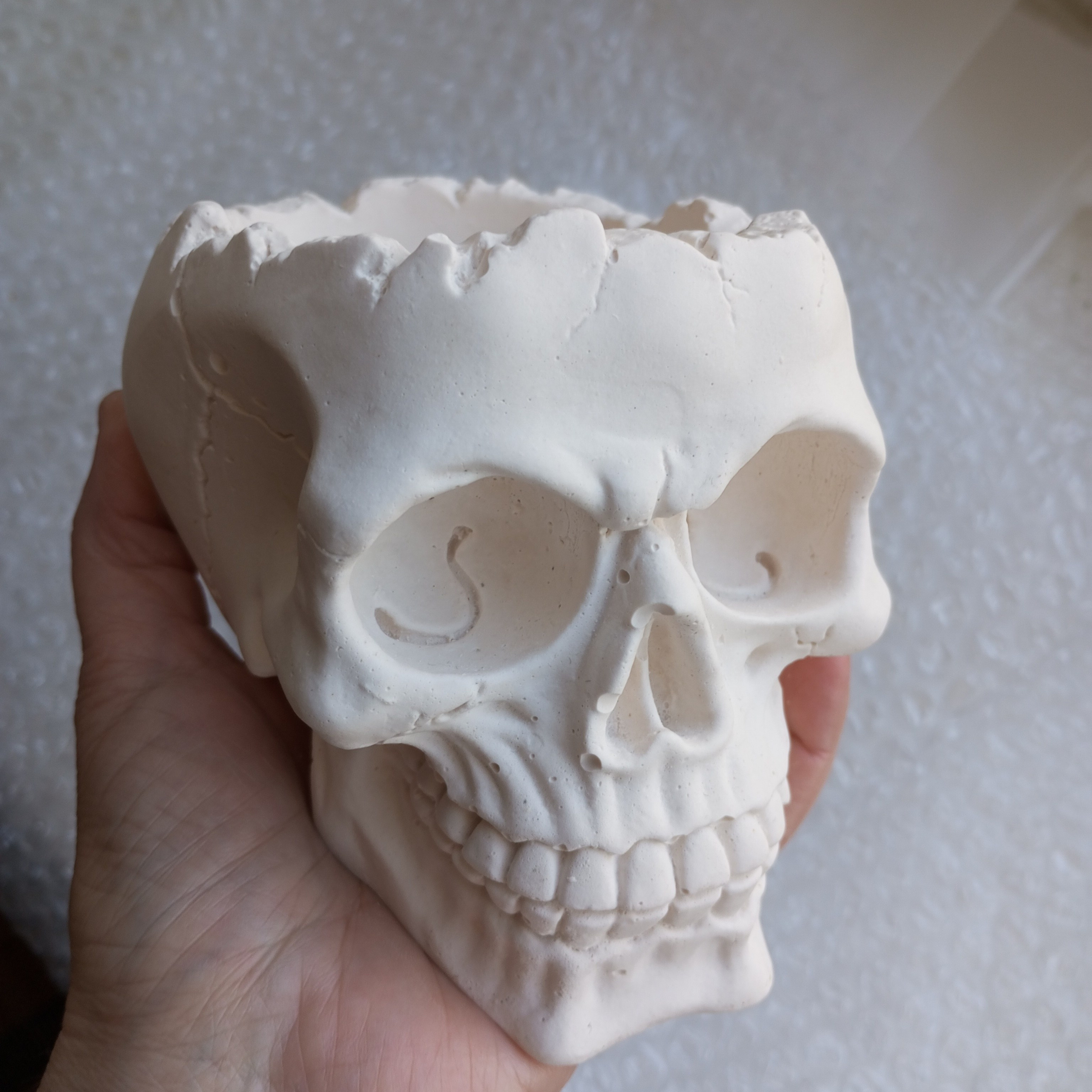 Реквизит в&nbsp;наличии, для старших классов, биологи, выпускники, череп