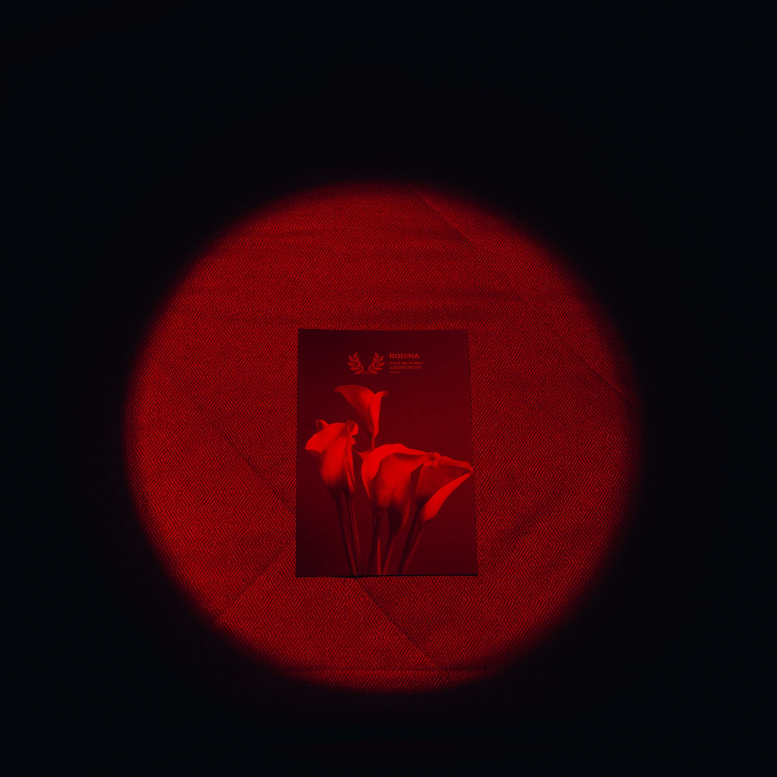 02.07.2026