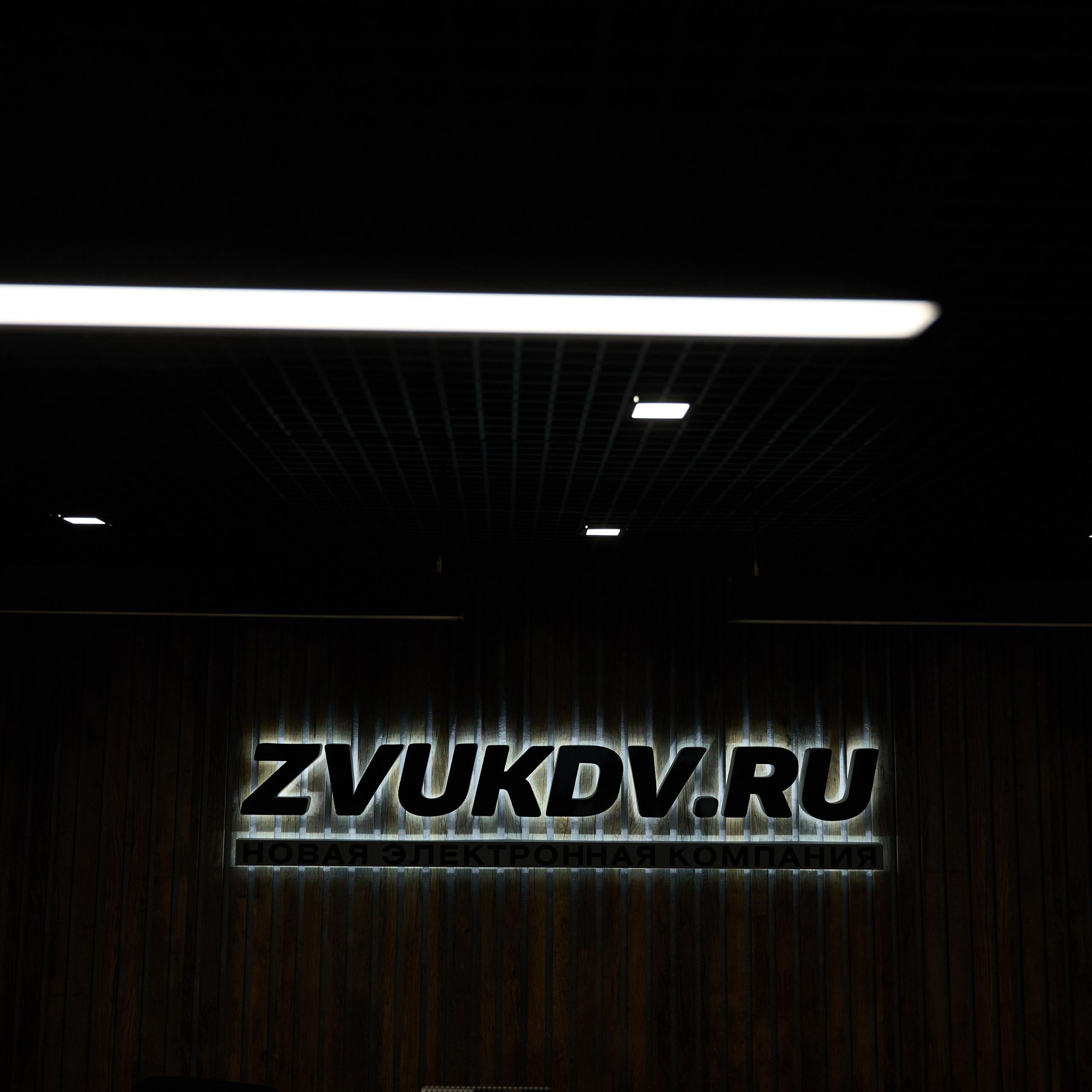 ZvukDV