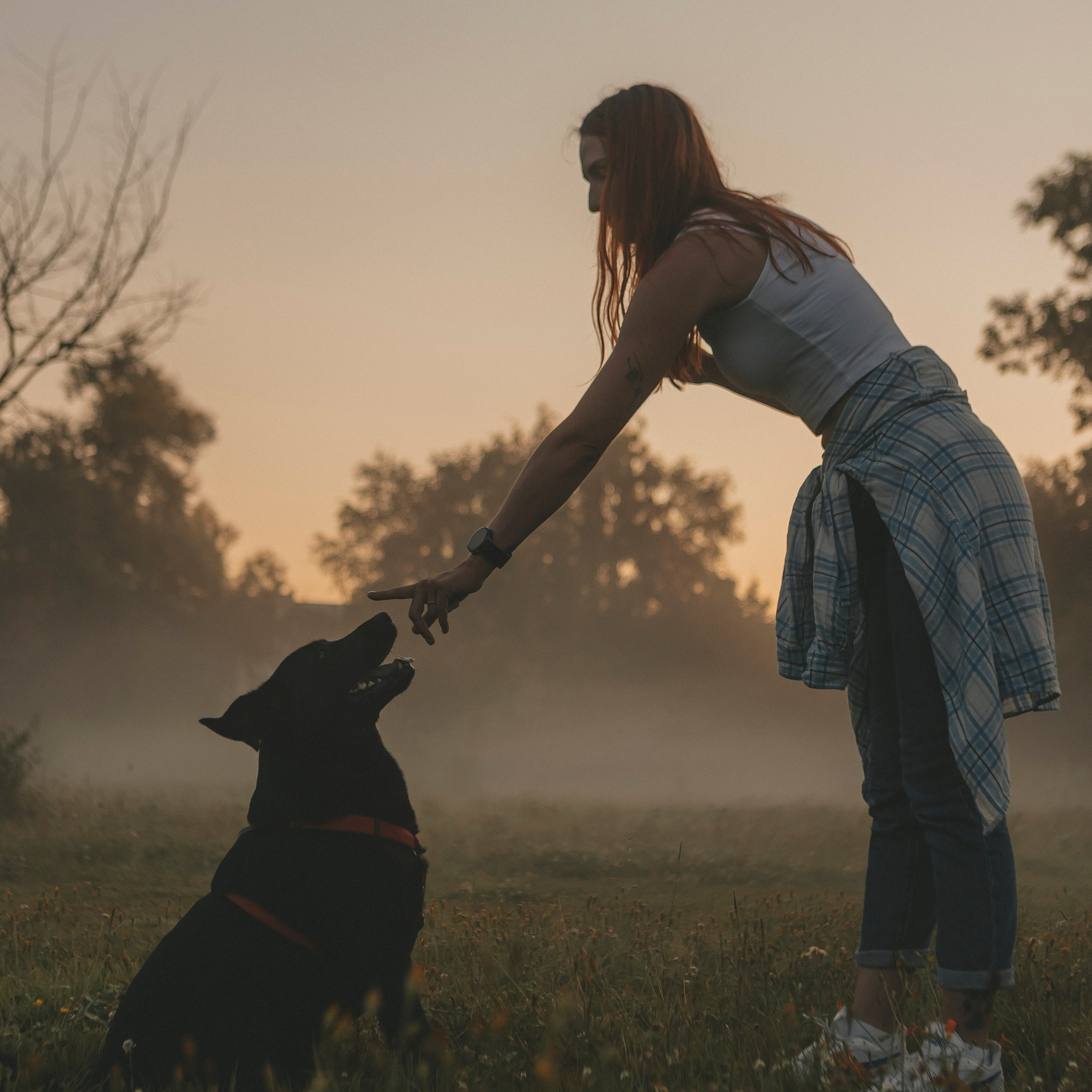 Саша и Дана