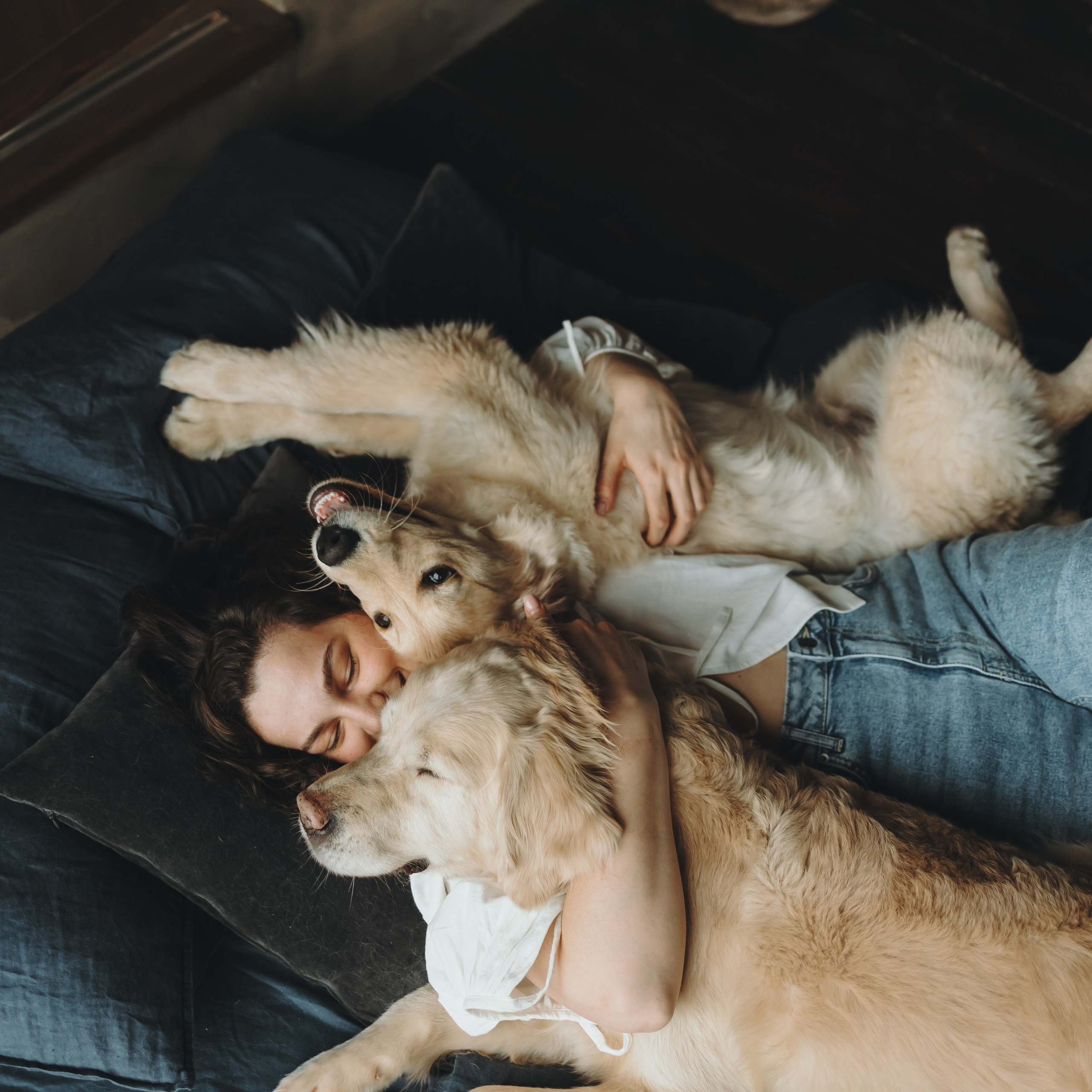 Настя, Арчи и Арагон