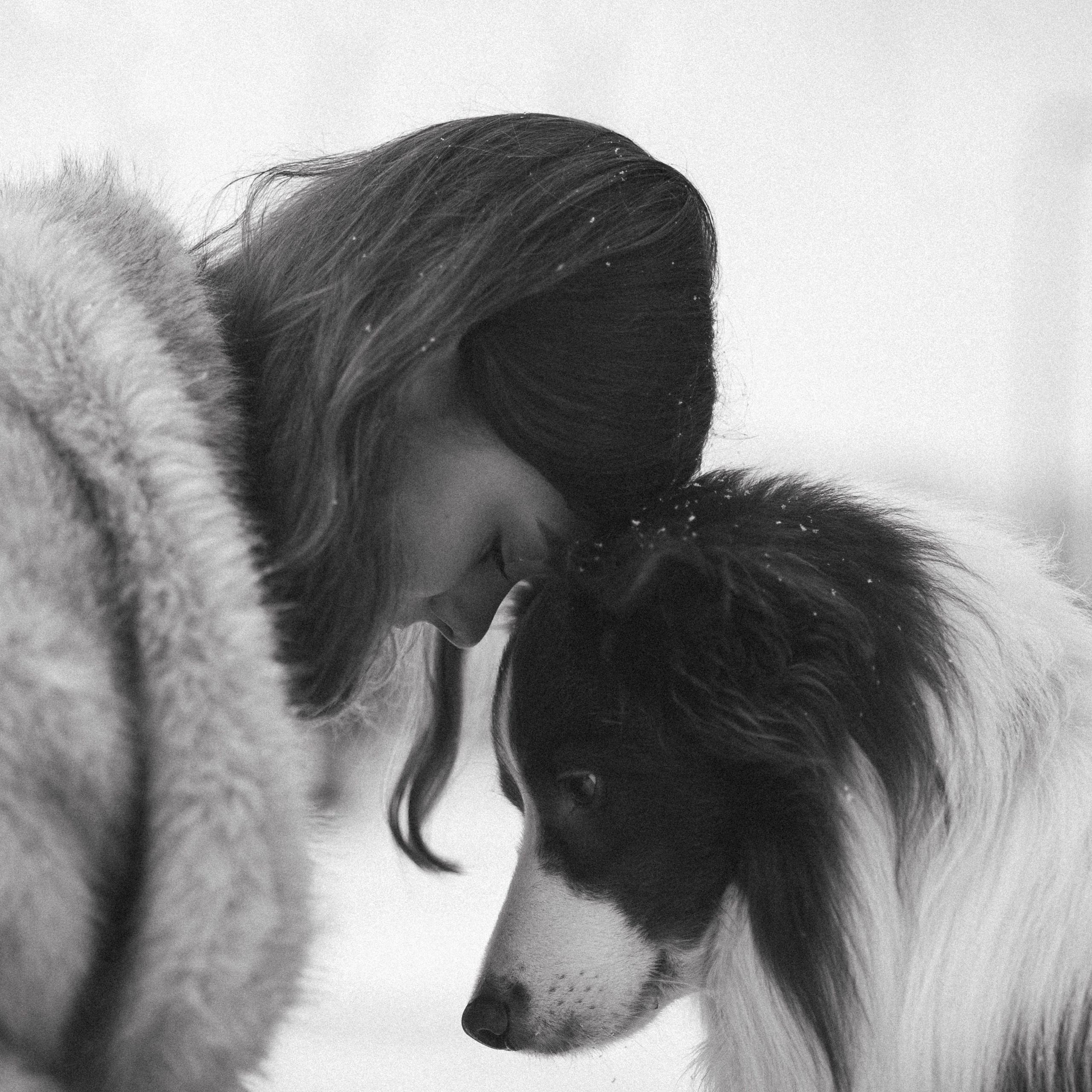 Маша и Брауни