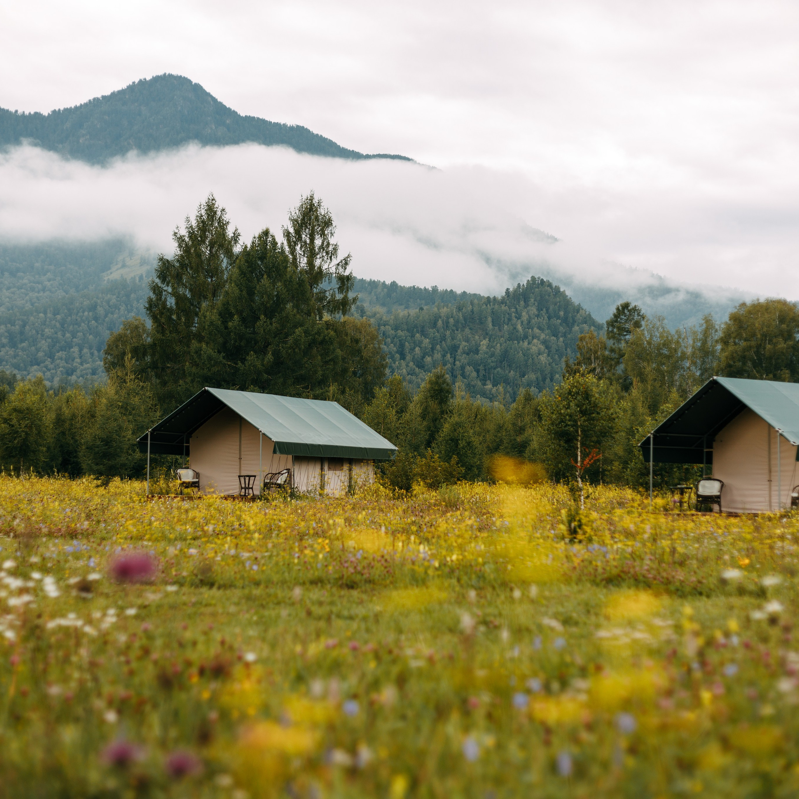 Йога-тур Алтай