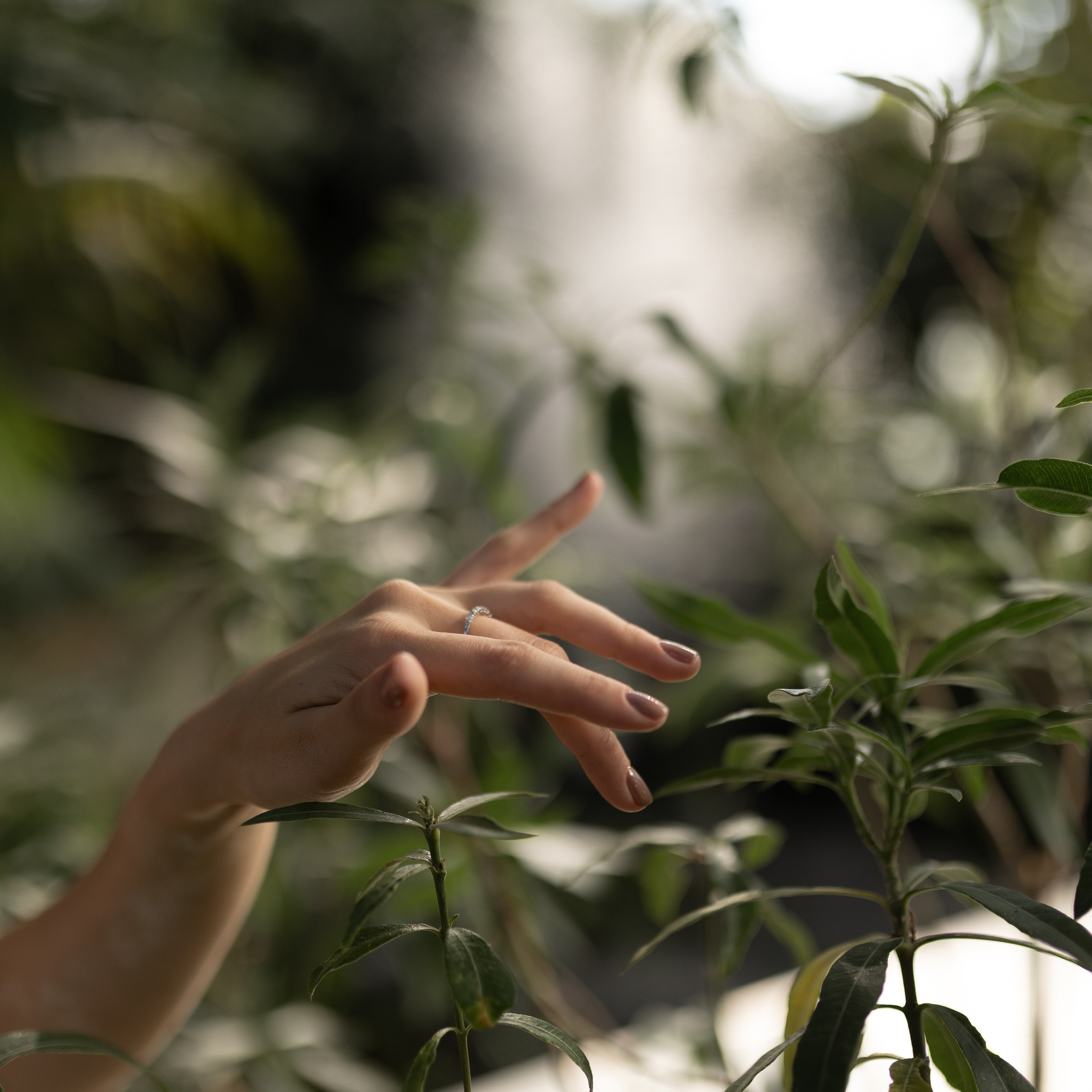 В&nbsp;Оранжерее Таврического