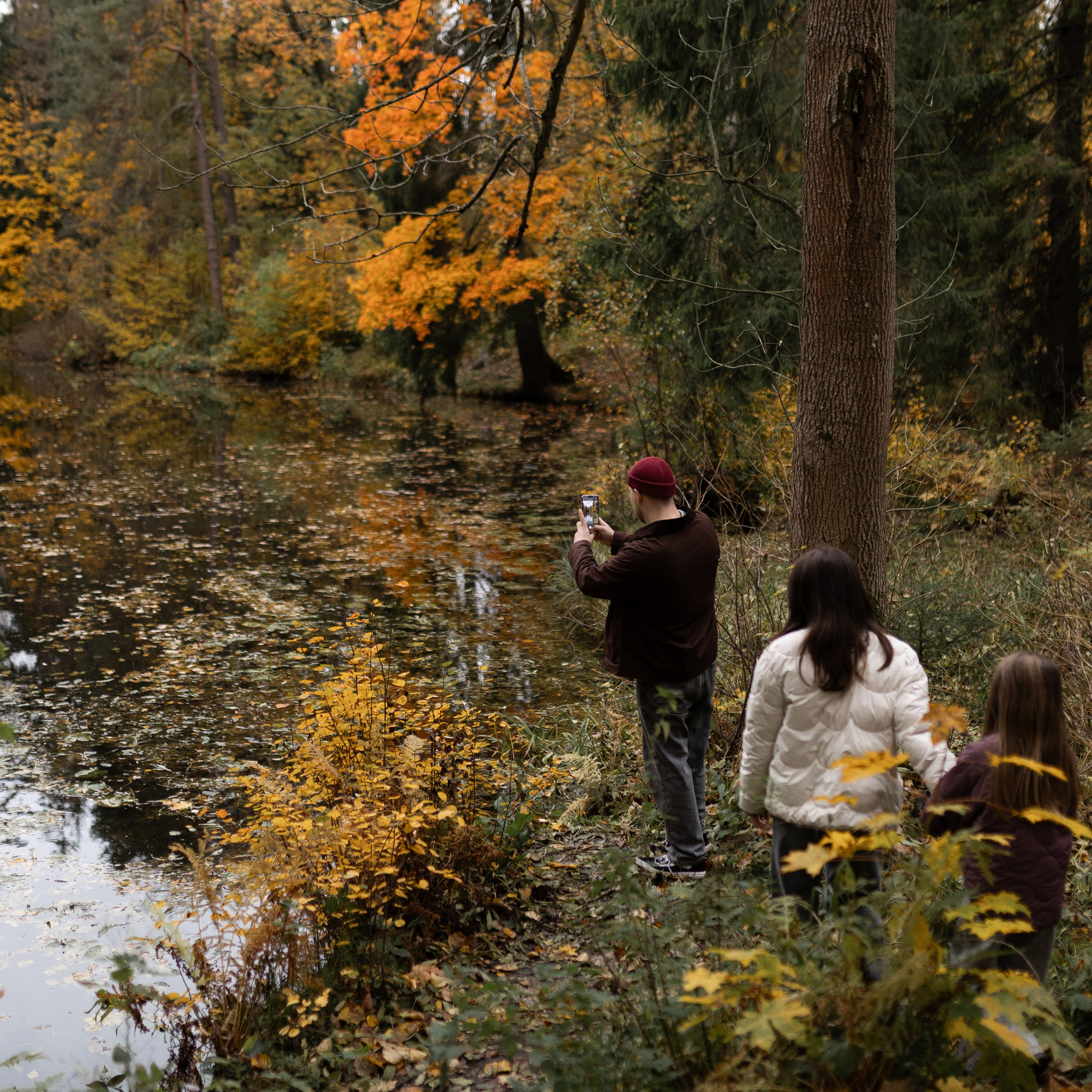 Осень в&nbsp;Шуваловском парке