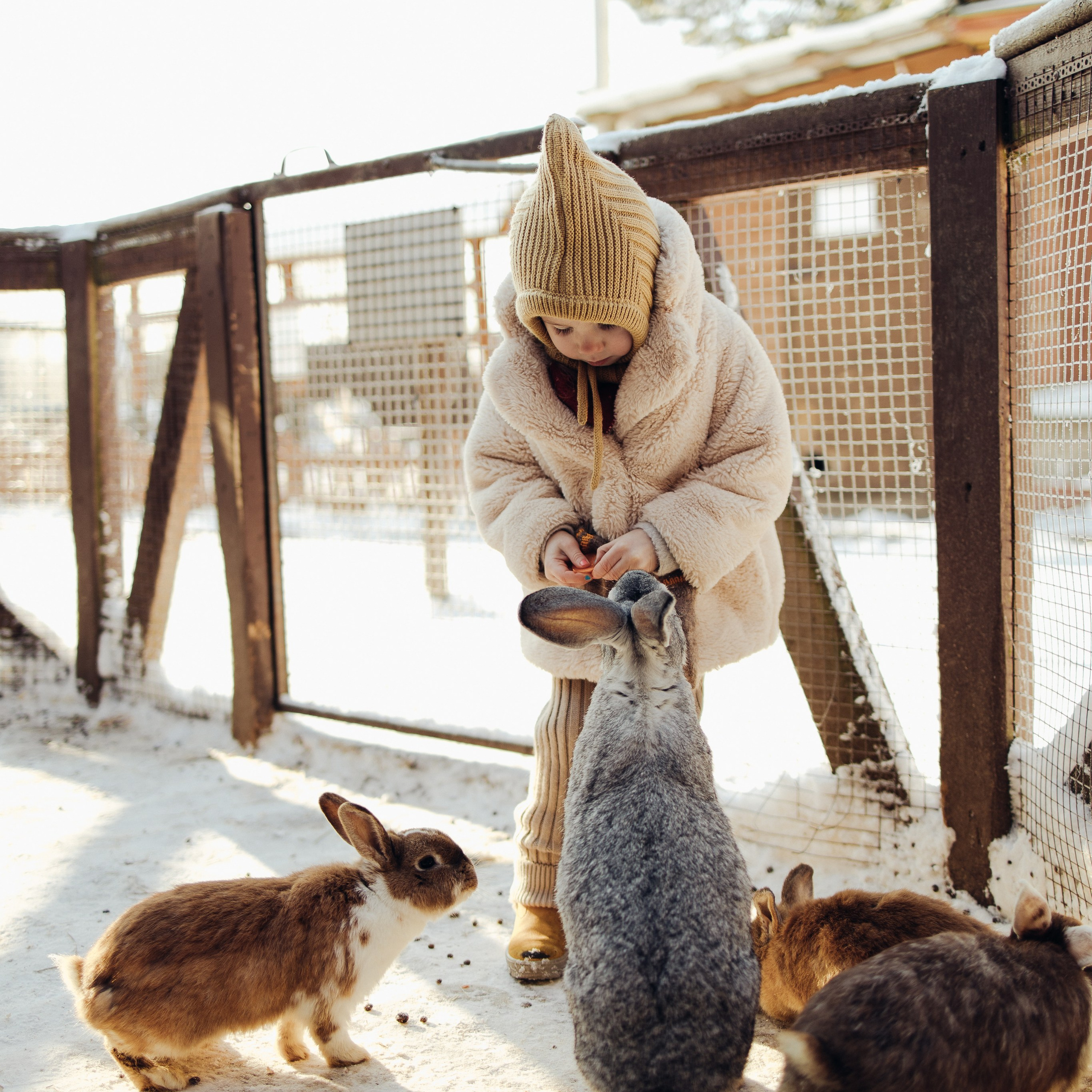 На&nbsp;ранчо