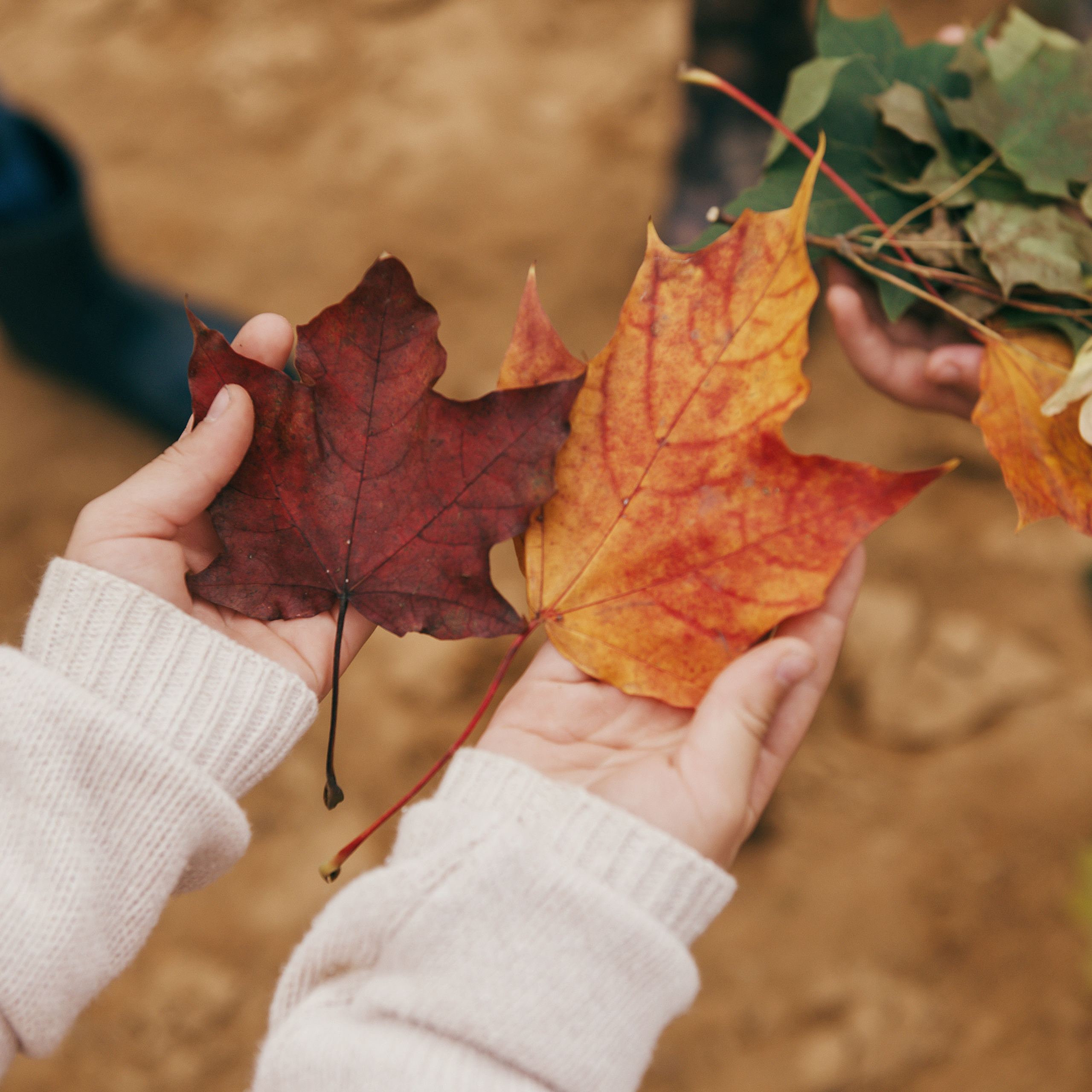 Отзывы. Фотограф для контента Мария Золотарева (СПб)