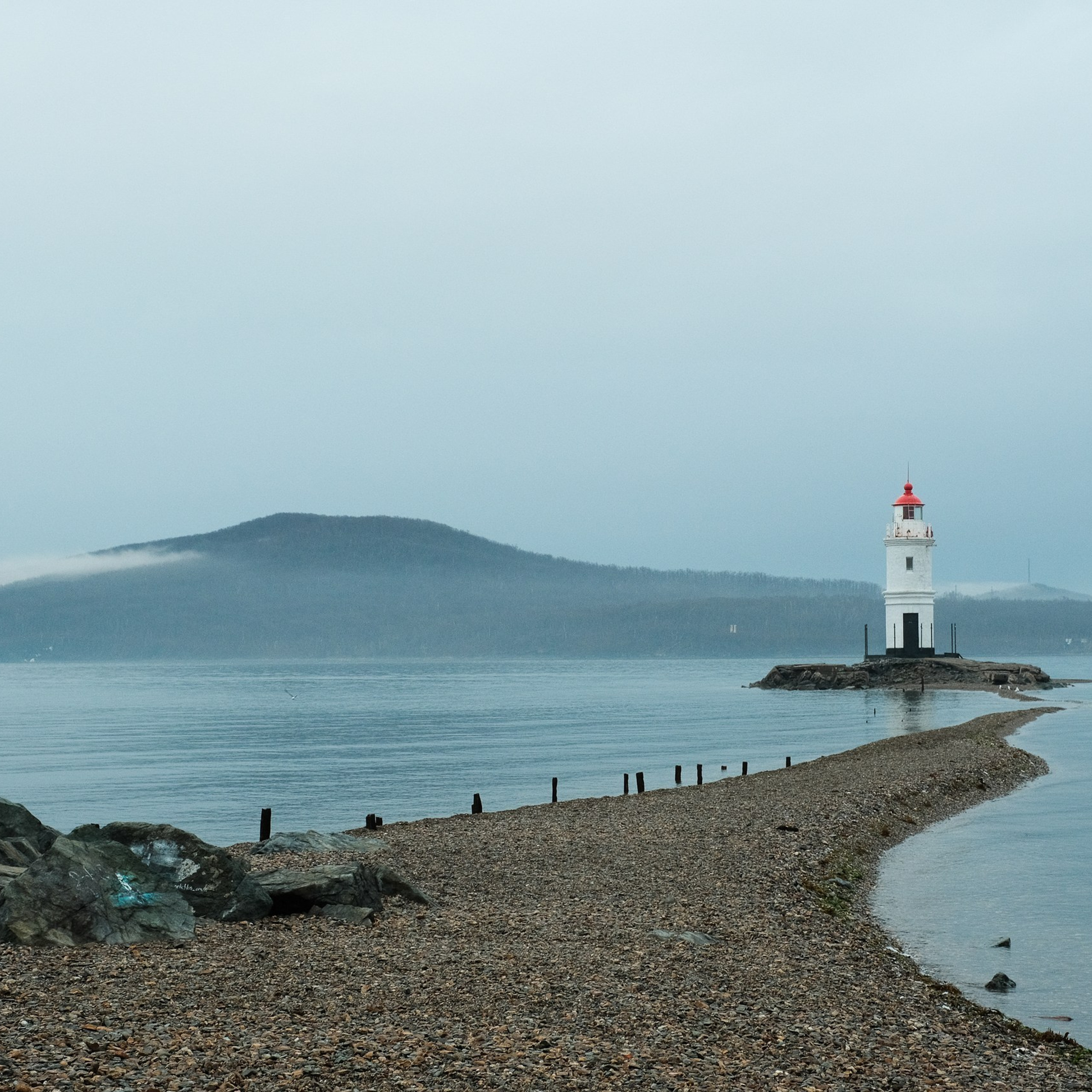 Отзывы. Aleksandr Schafft