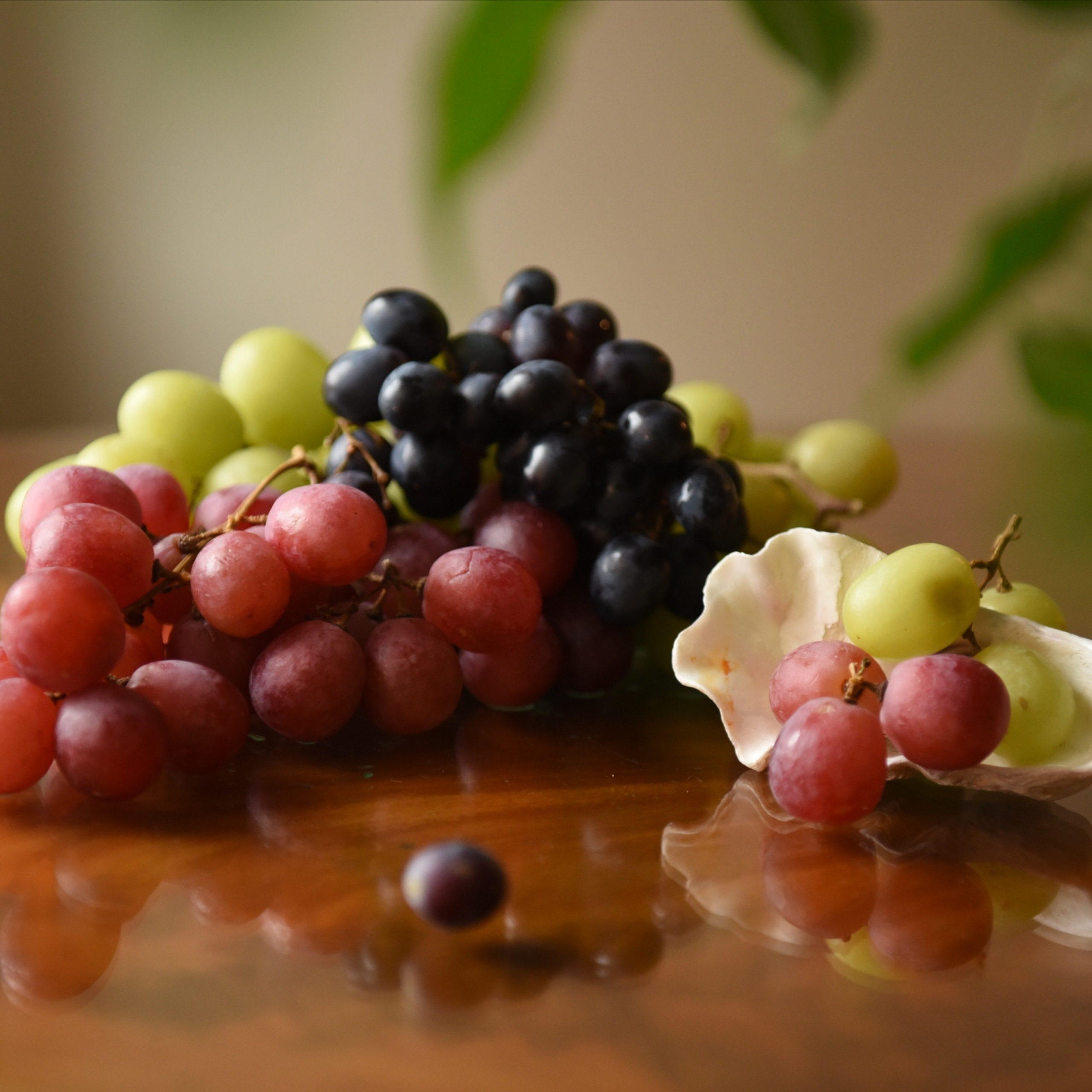 Предметная съемка