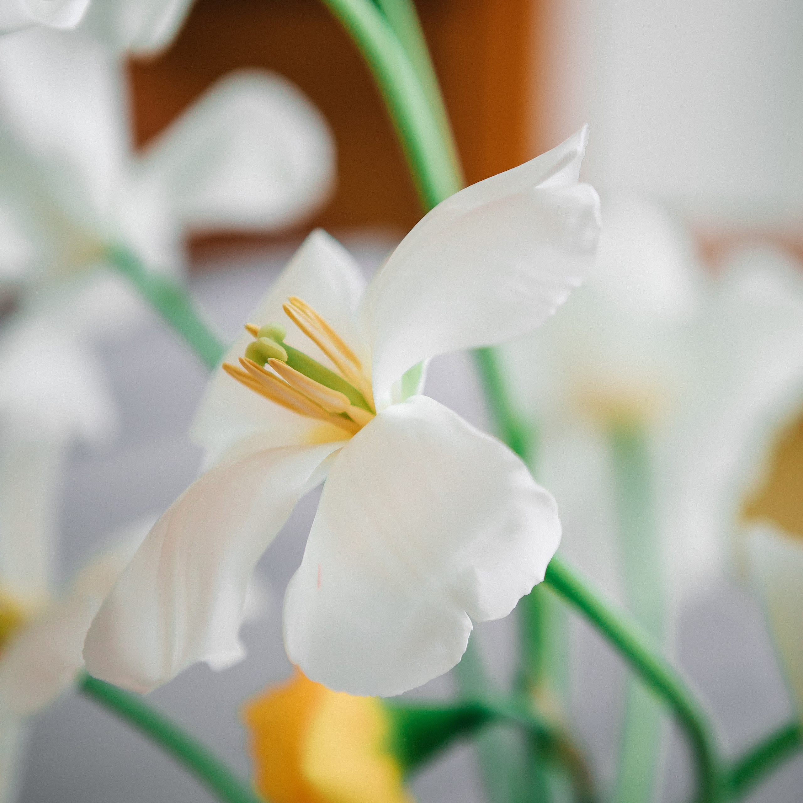 Wedding-photo Интурист. Свадебный и семейный фотограф. Волгоград / Ростов / Краснодарский край