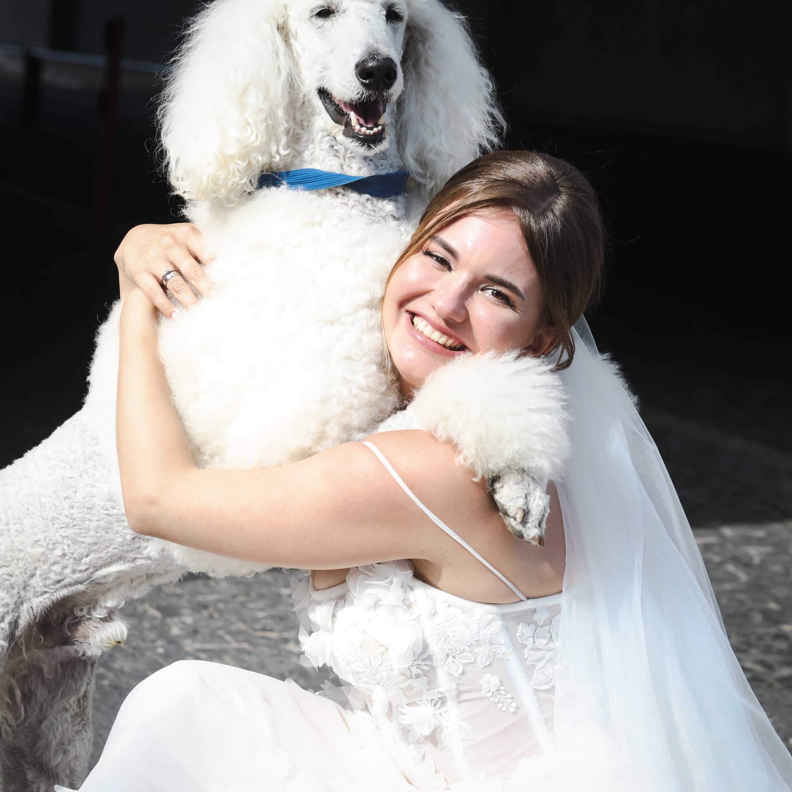 Константин + София. Олег Минайлов — Фотограф ваших событий