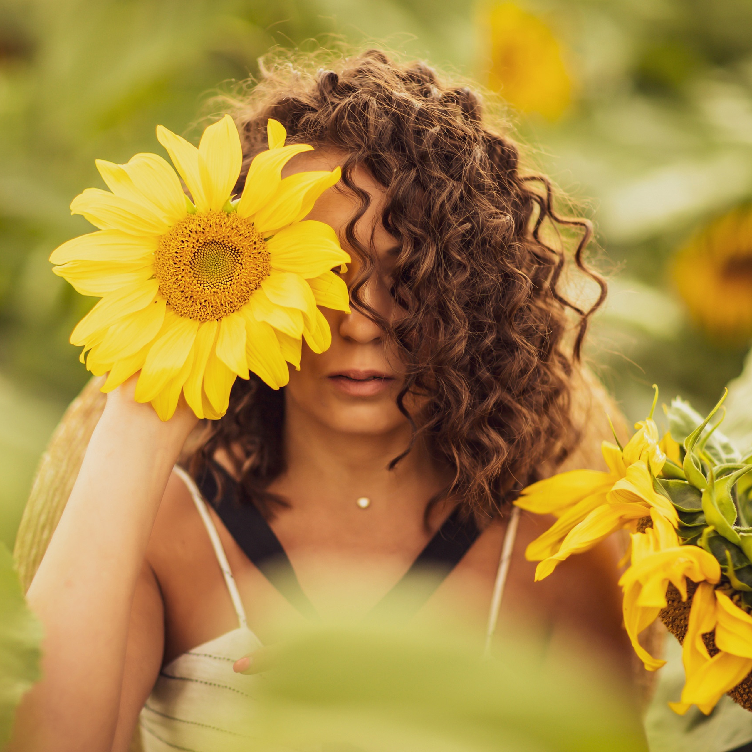 Подсолнухи, Тюмень