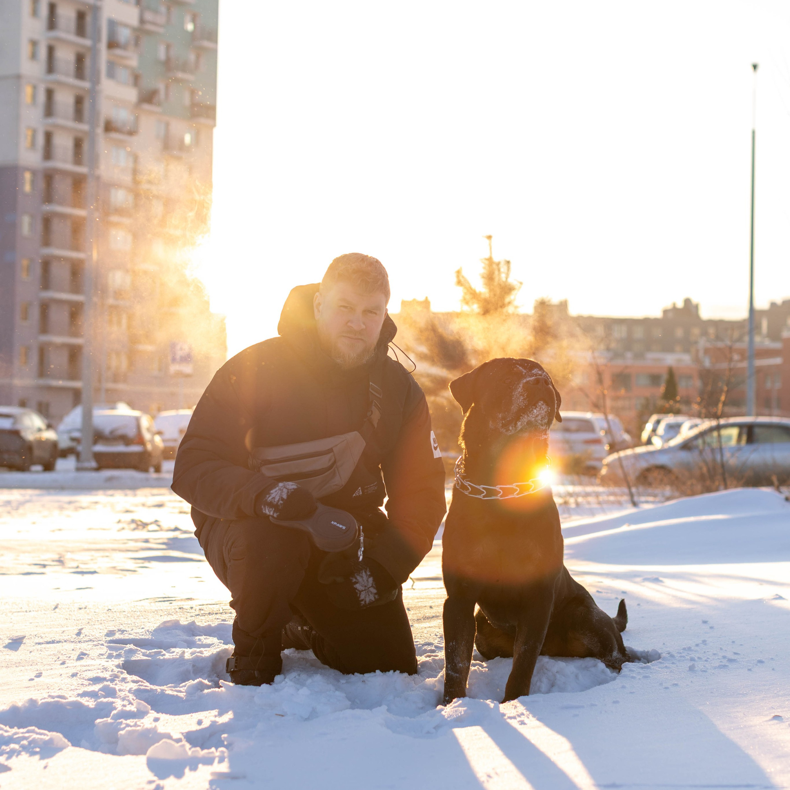 Зимняя прогулка