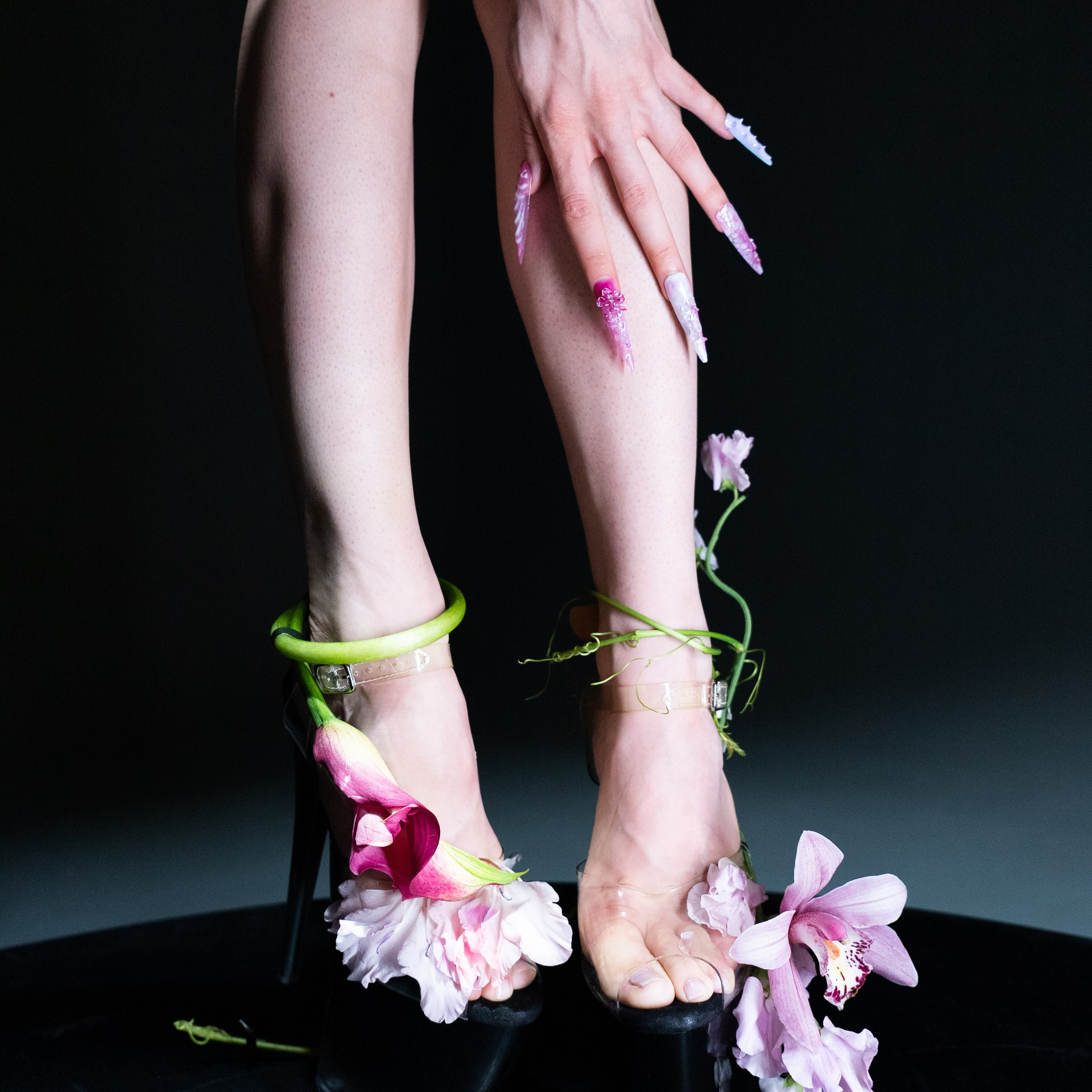 DREAM POLE x U24flowers