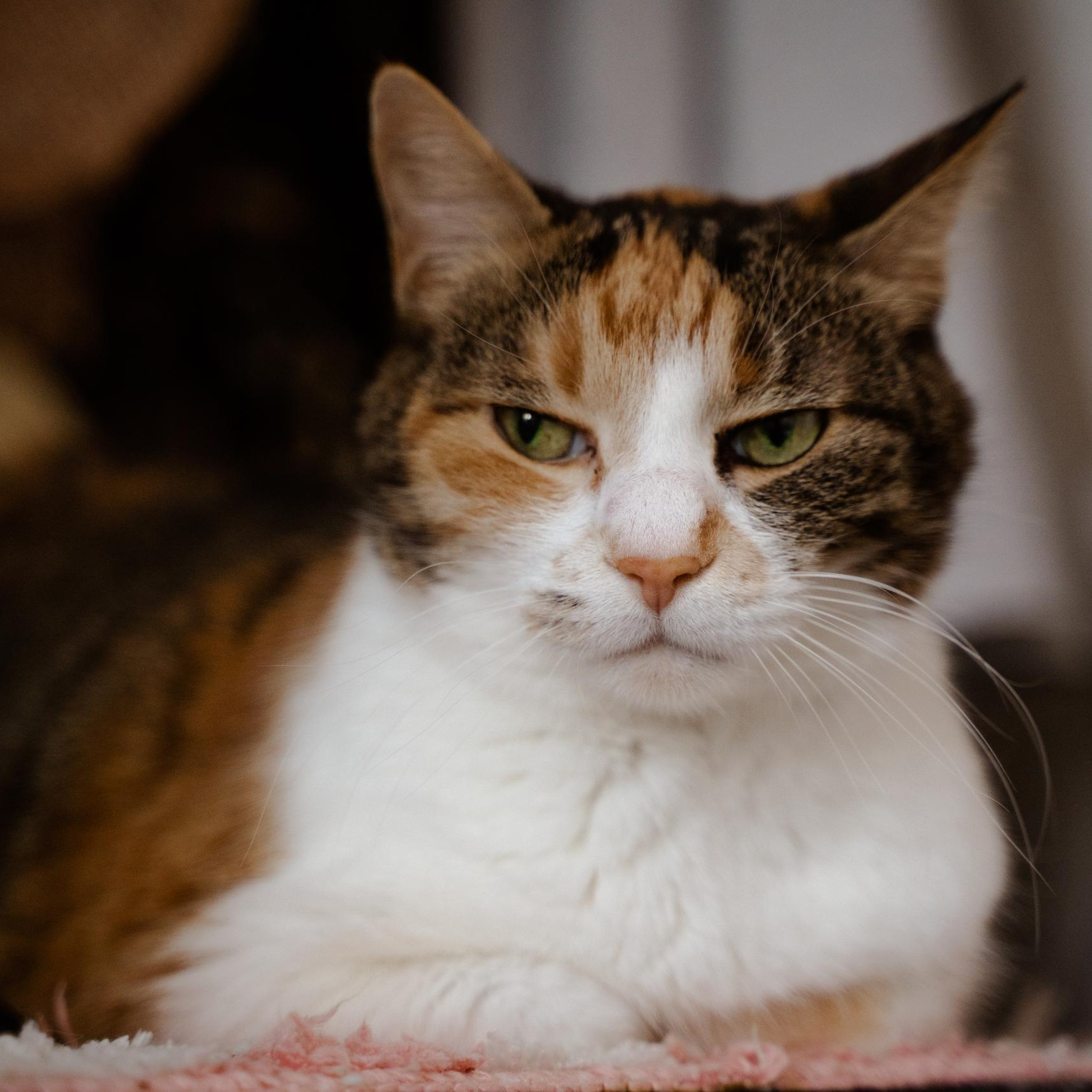 Отзывы. Фотограф в Находке Сальникова Оксана