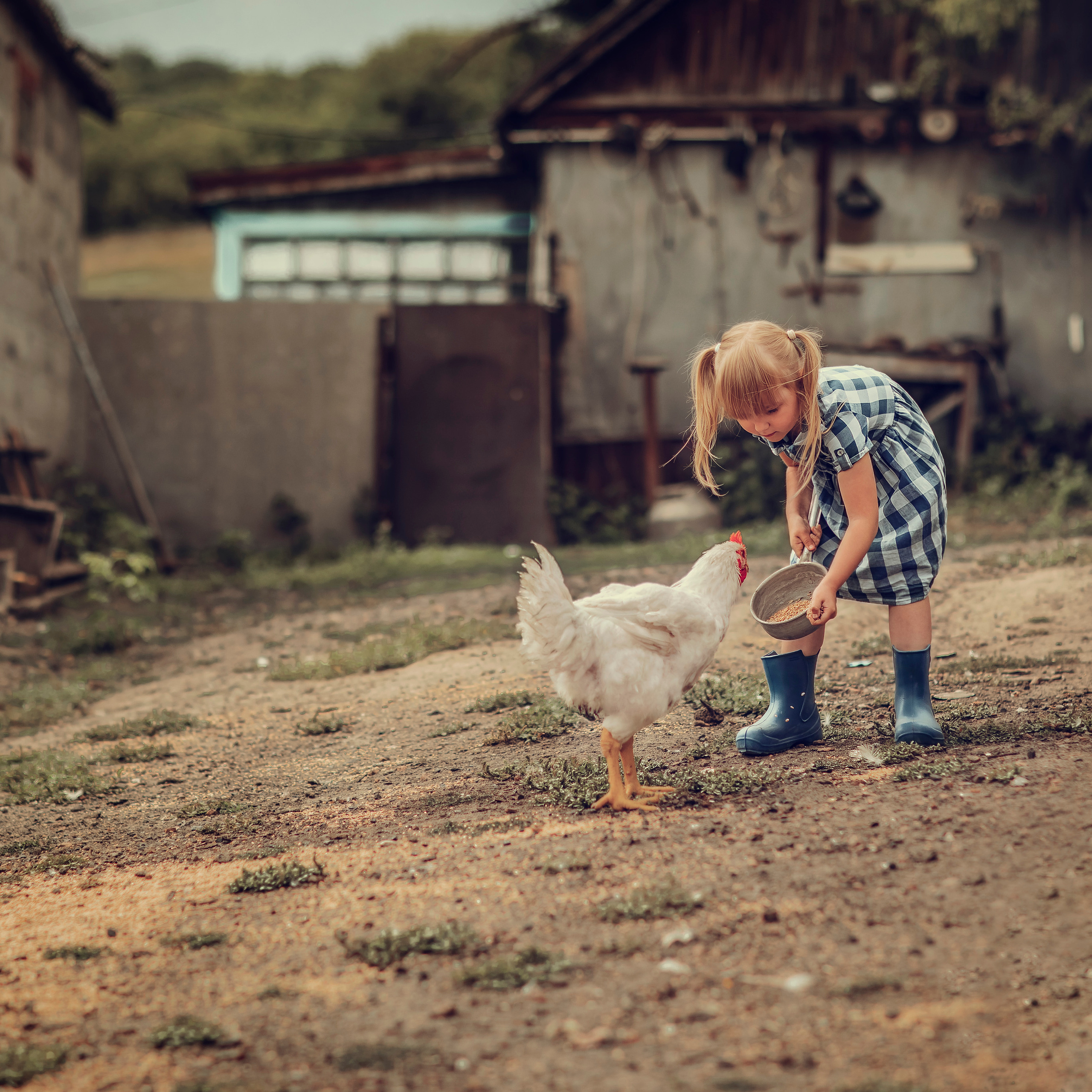 «Деревенские будни»