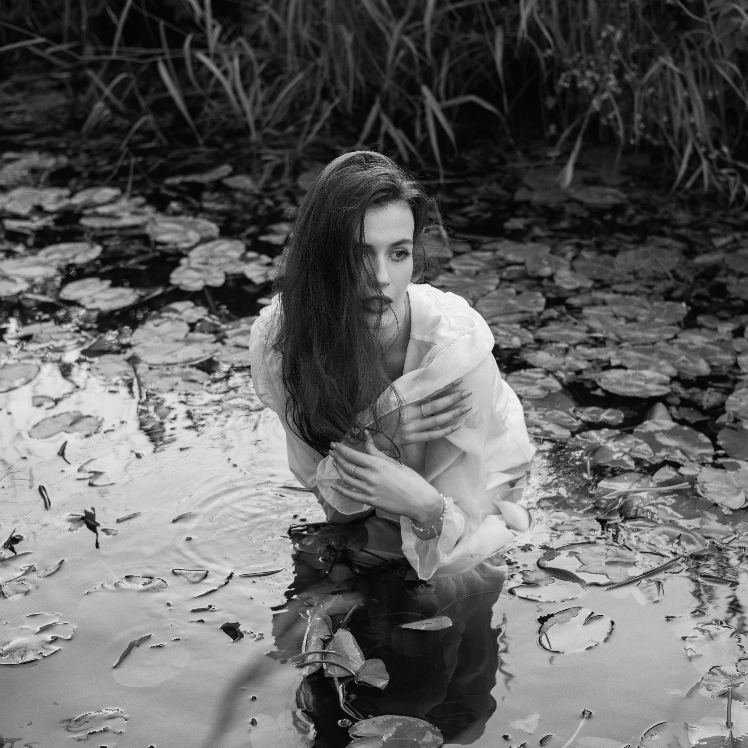 Фотодень с водяными лилиями