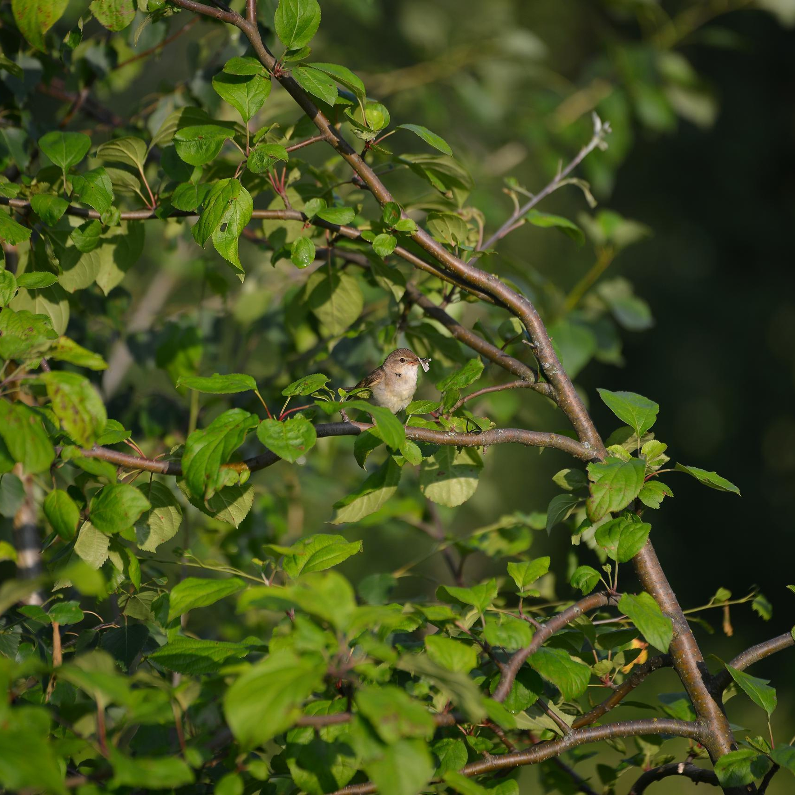 Отзывы. Фотограф в Юрьев-Польском. Владимире и области. Крышковец Владимир