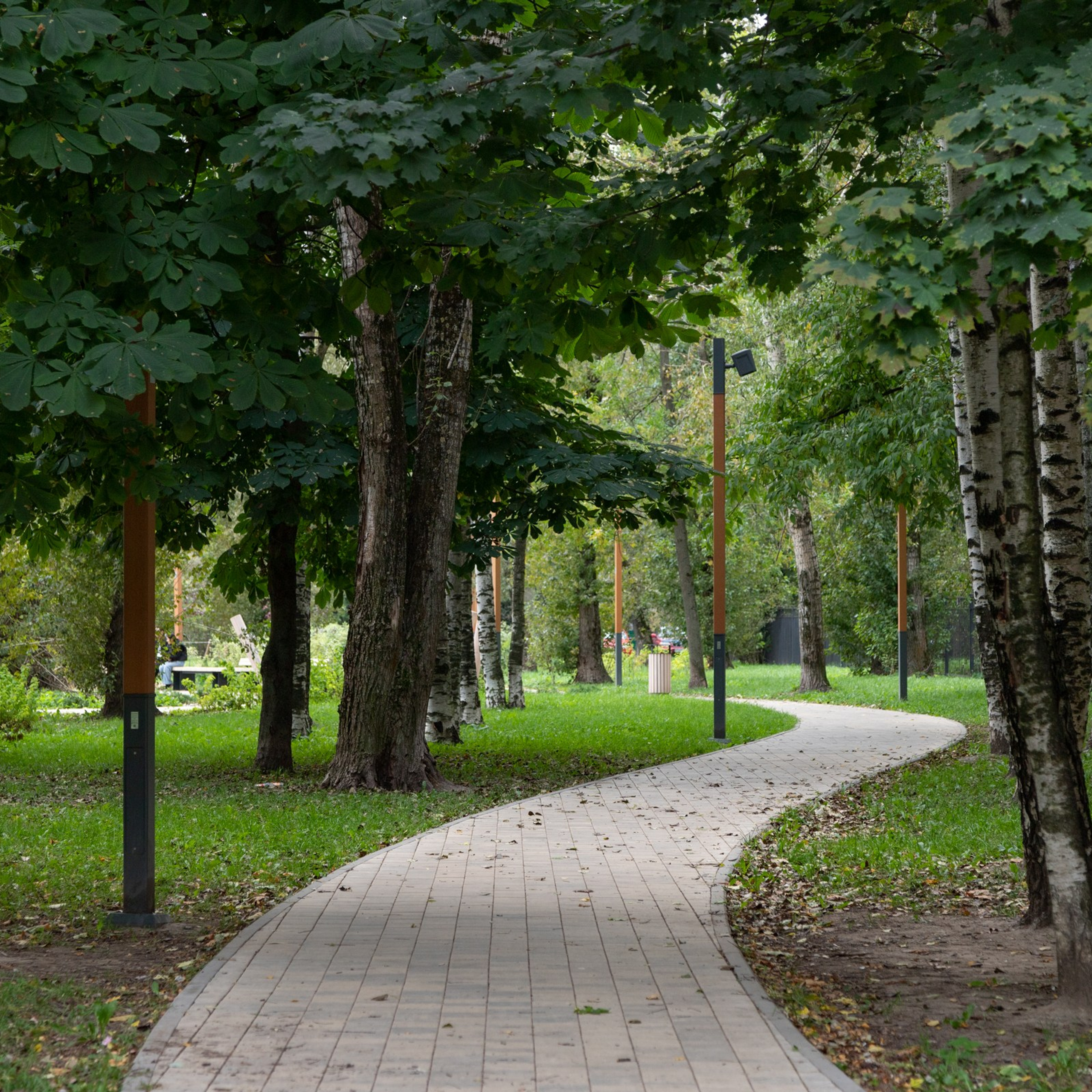 Общественное