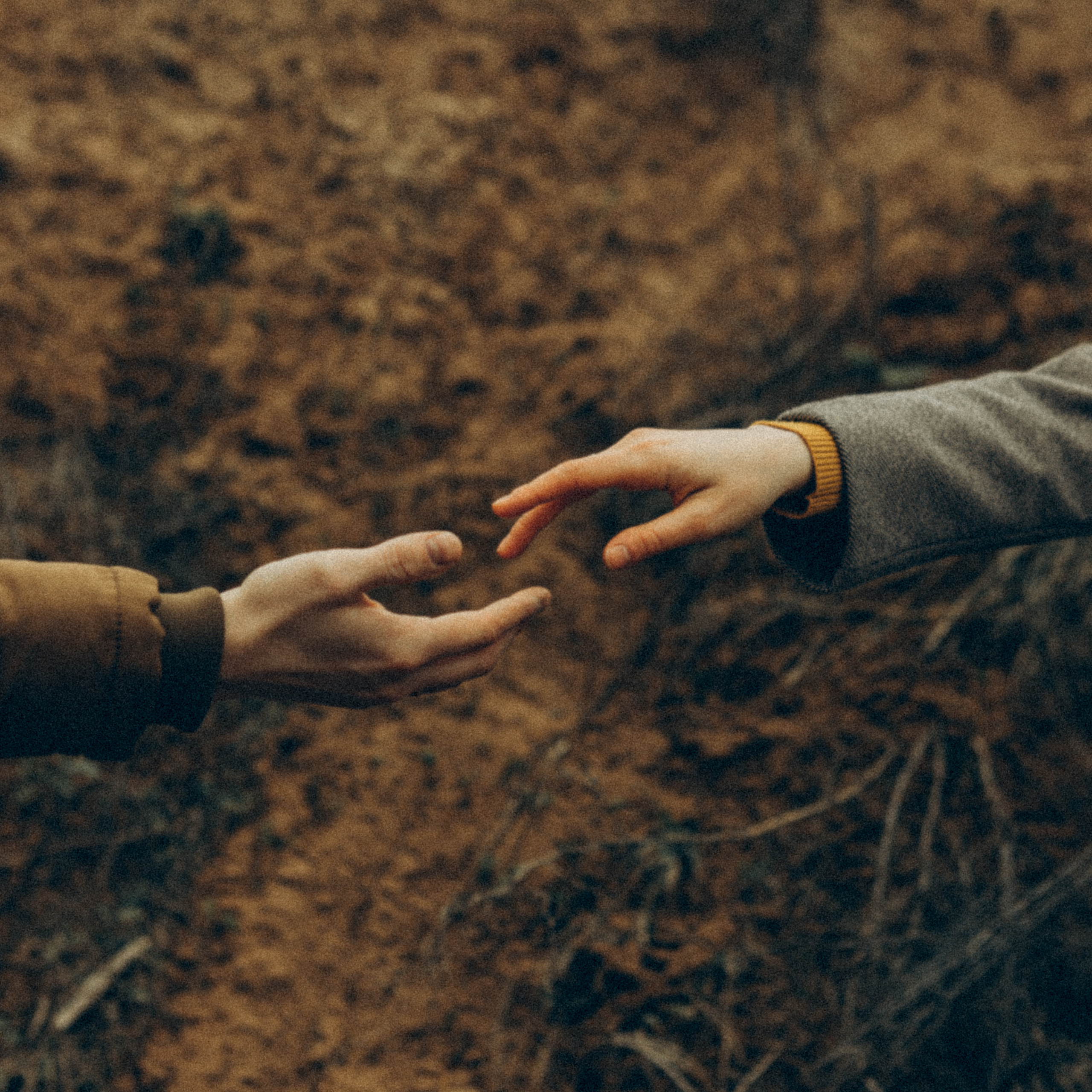 Отзывы. Семейный фотограф и фотограф на роды в Ростове-на-Дону Мухина Виктория