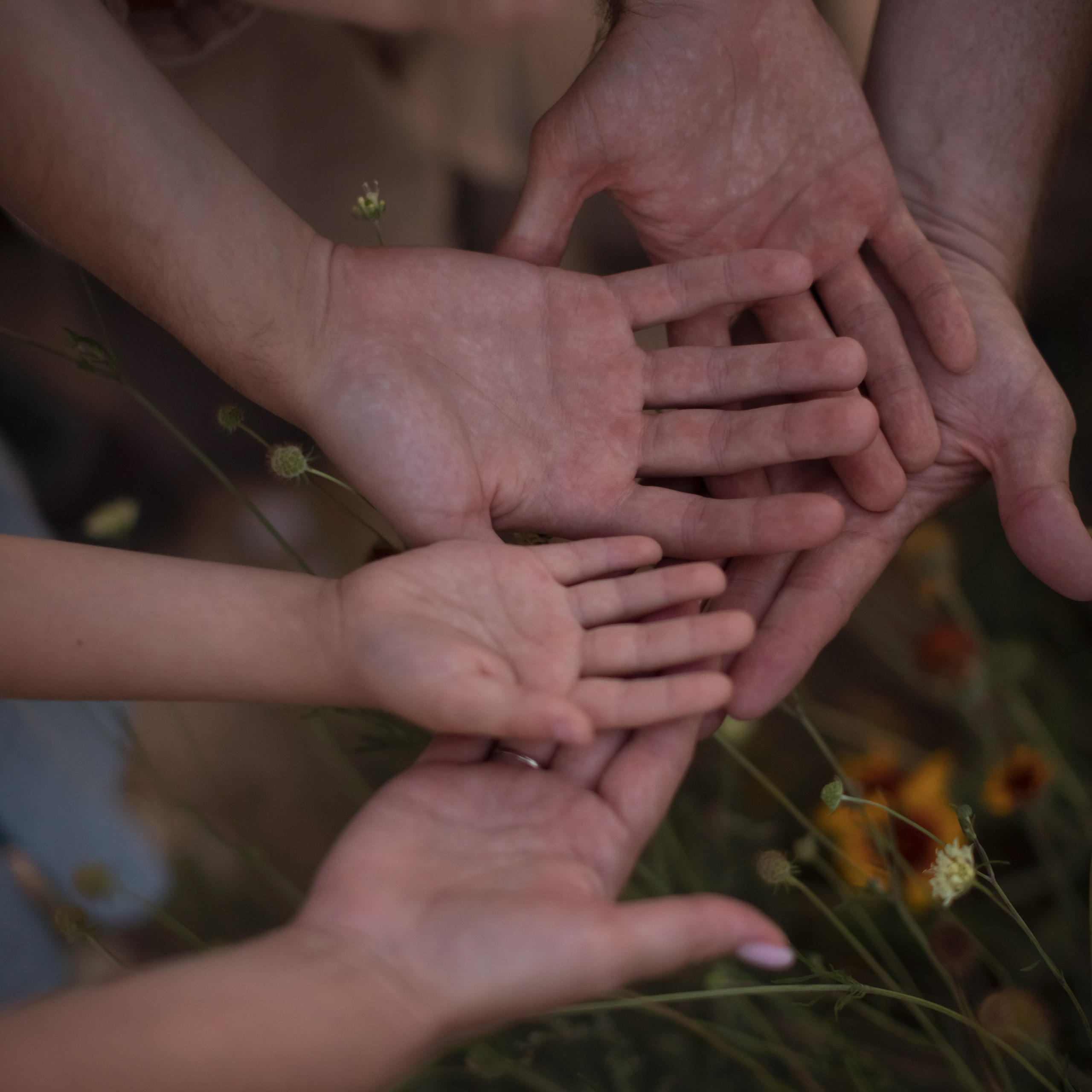 Stories. Семейный и детский фотограф в Саратове Полина Коткина