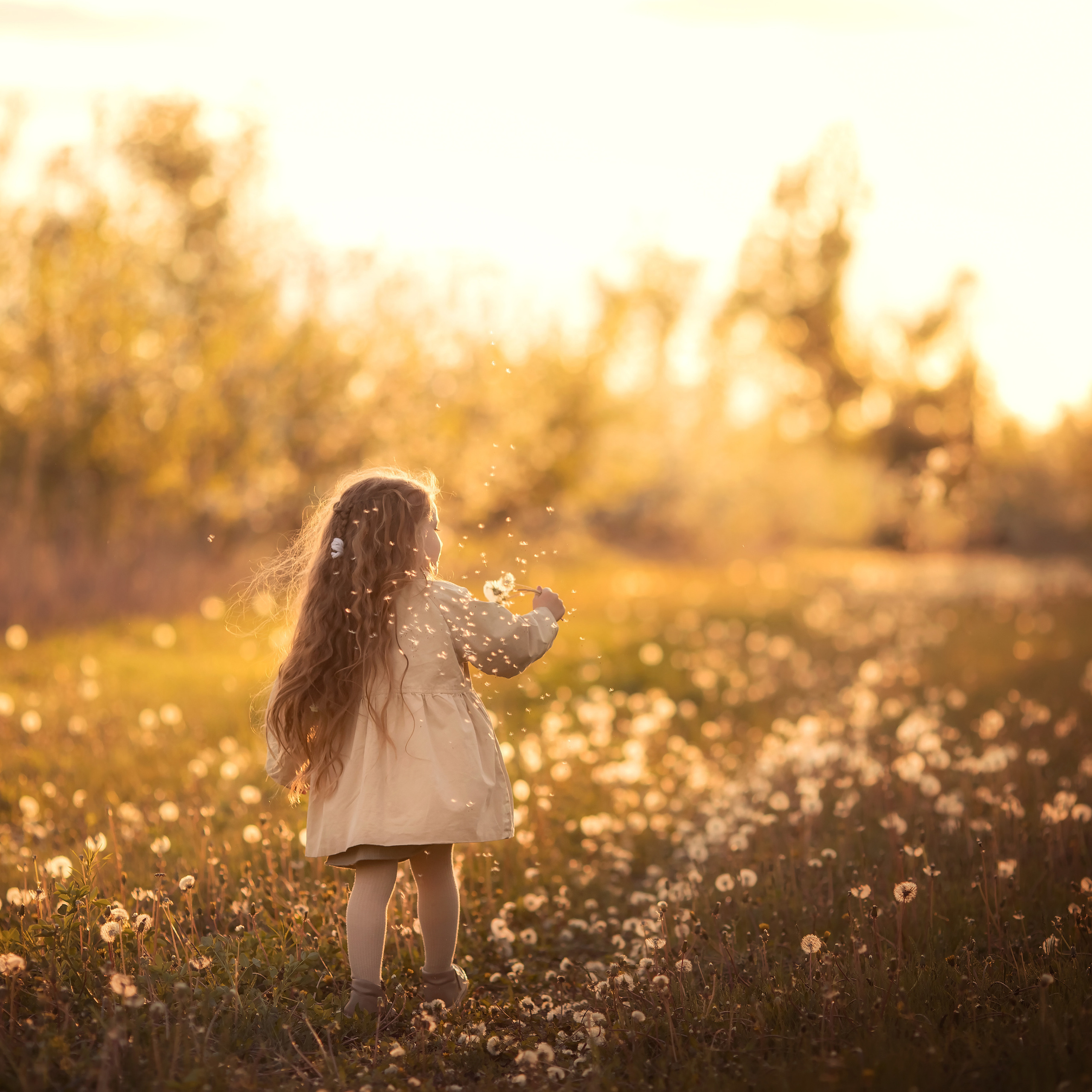 Comments. Семейный и детский фотограф в Саратове Полина Коткина