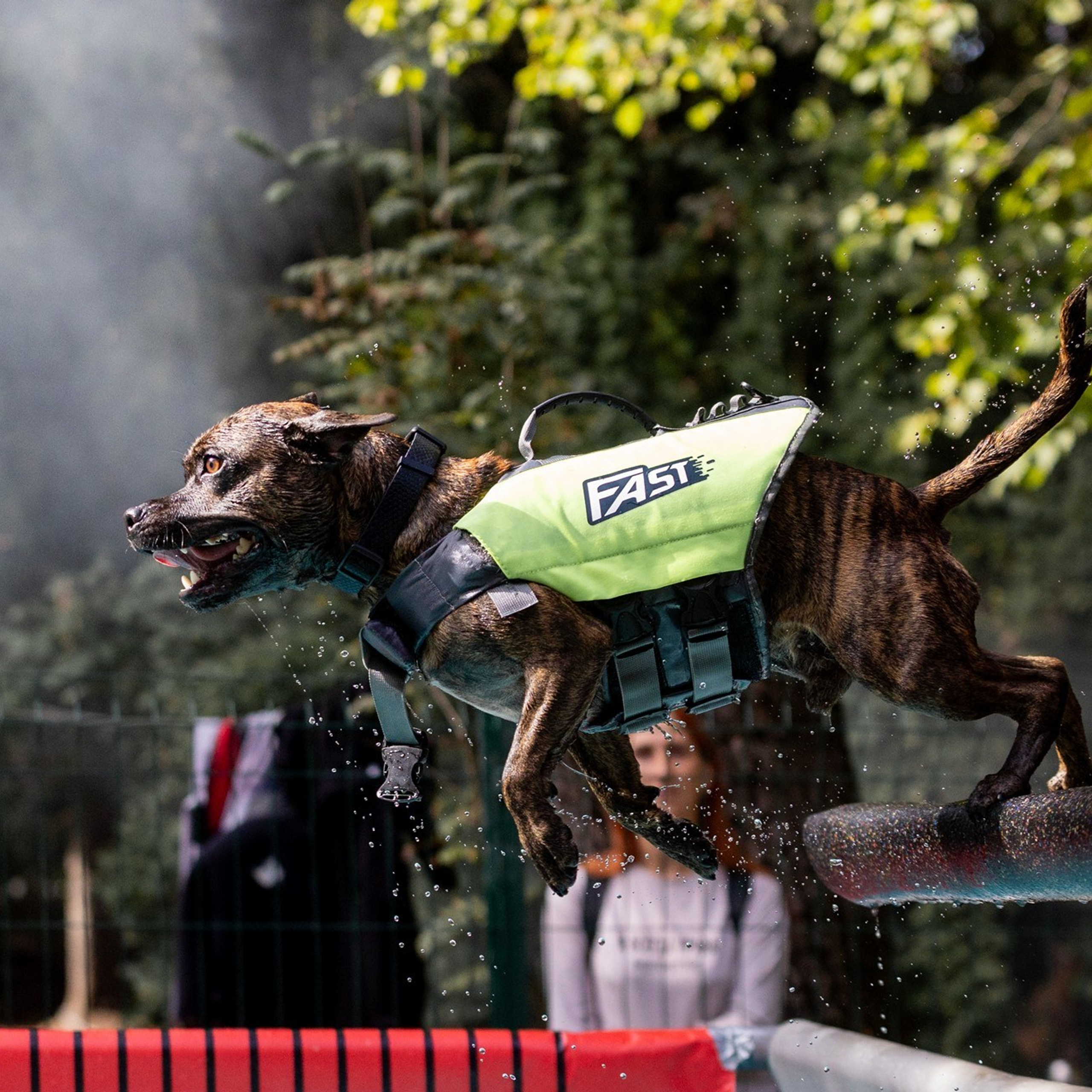 Отзывы. Свадебный и репортажный фотограф в Москве и Московской области