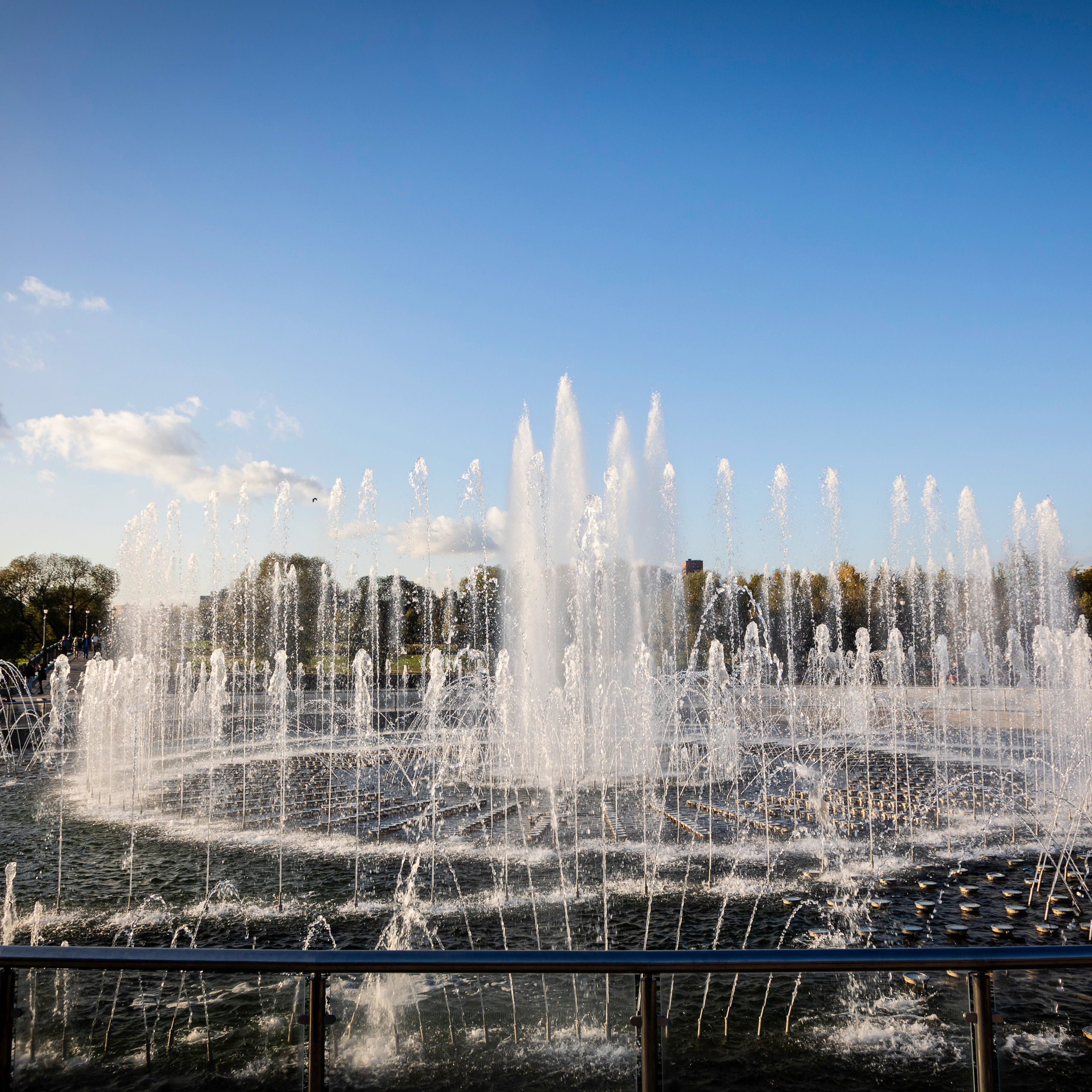 Отзывы. Свадебный и репортажный фотограф в Москве и Московской области