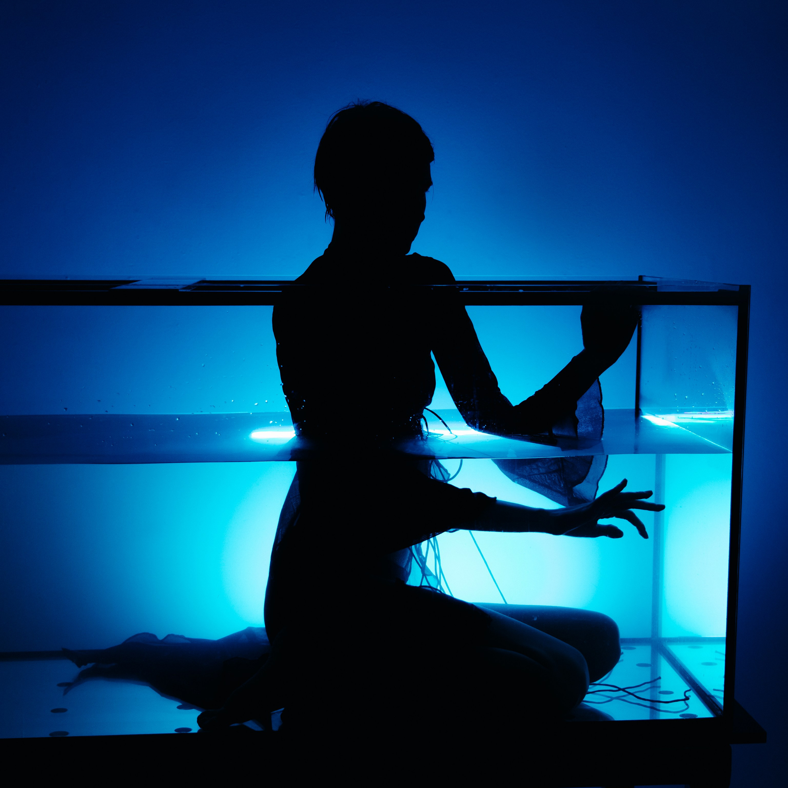 Отзывы — Роман Лахмыткин