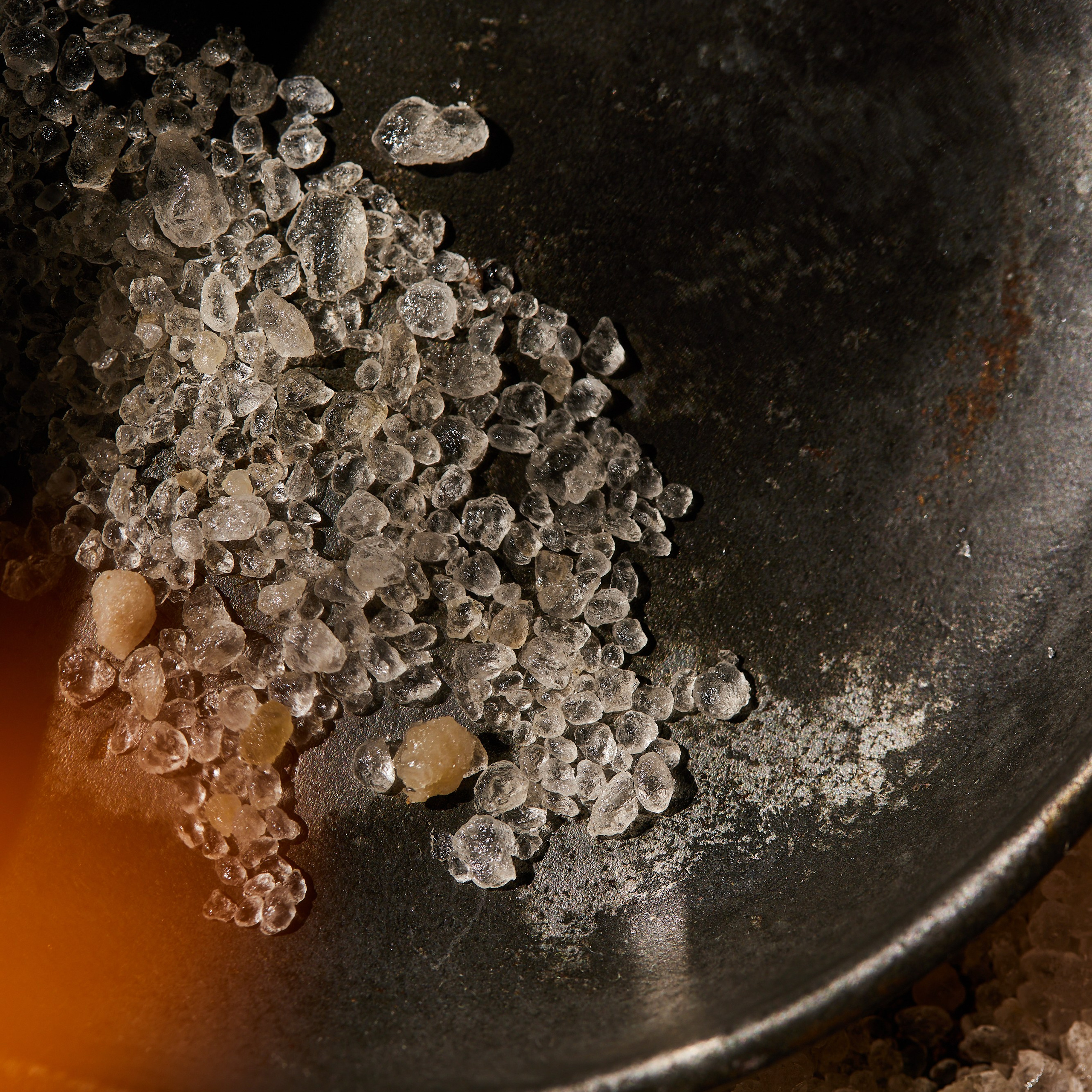 Photographer, Masha Berliner