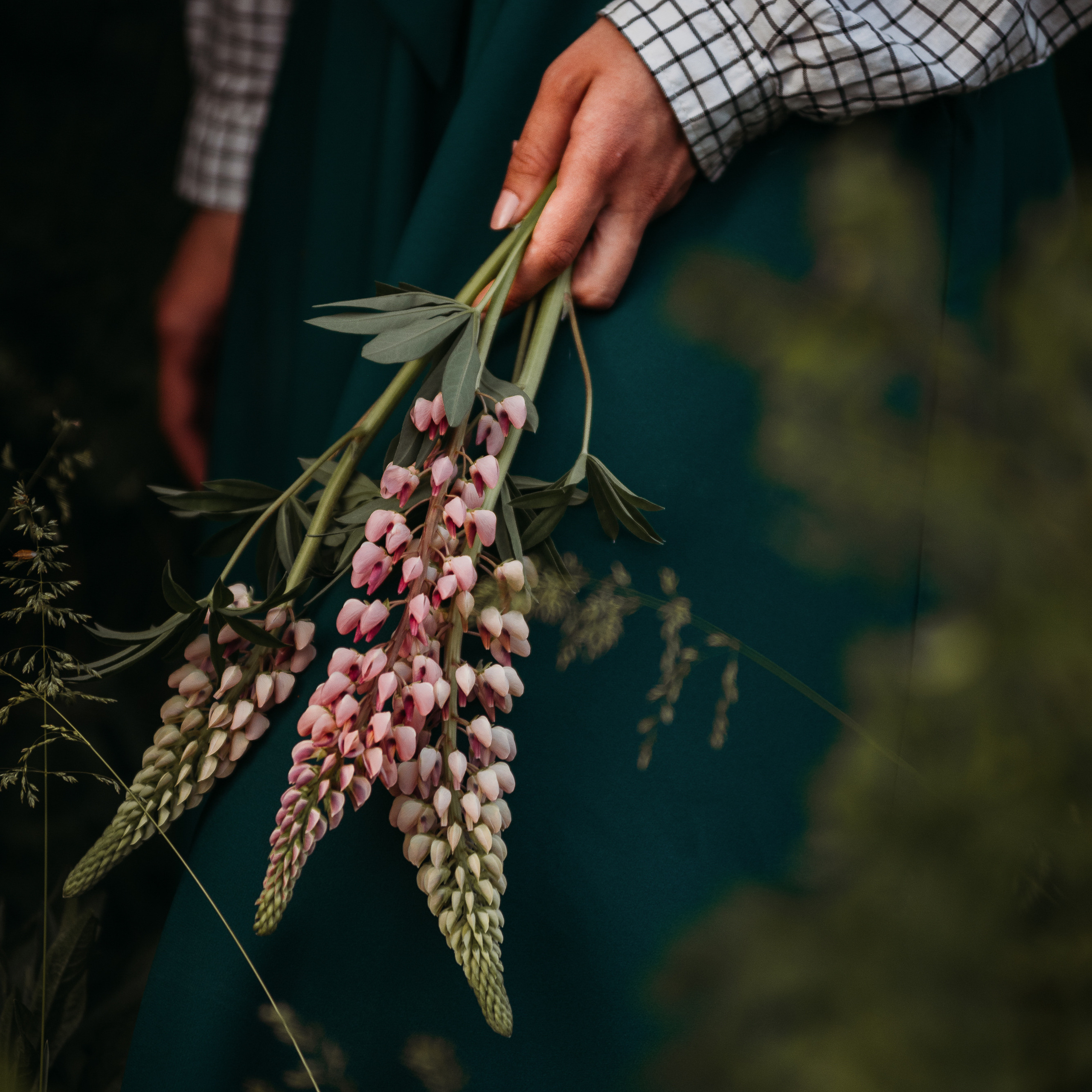 МИФ О ПЕГАСЕ