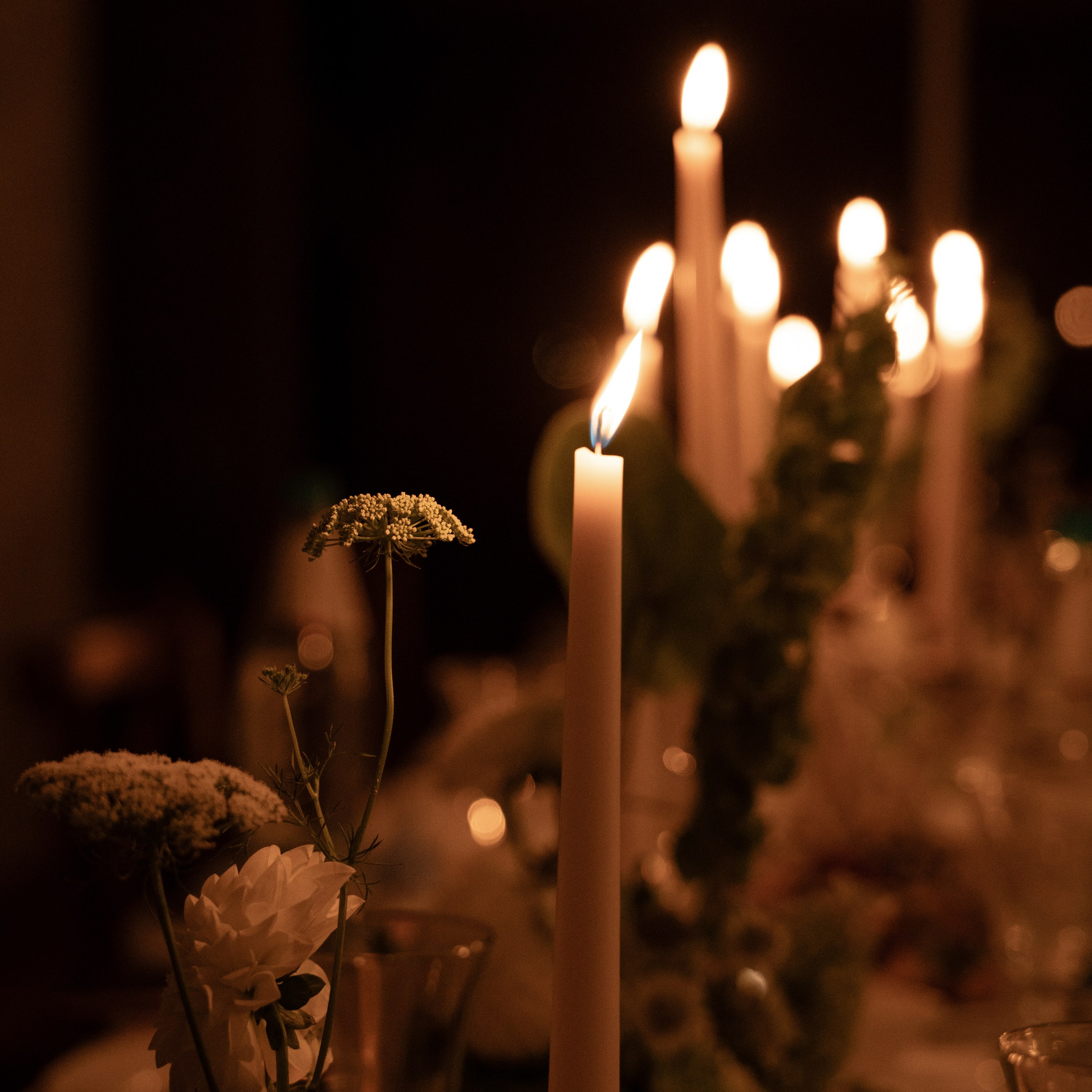 Свадебный фотограф Тула