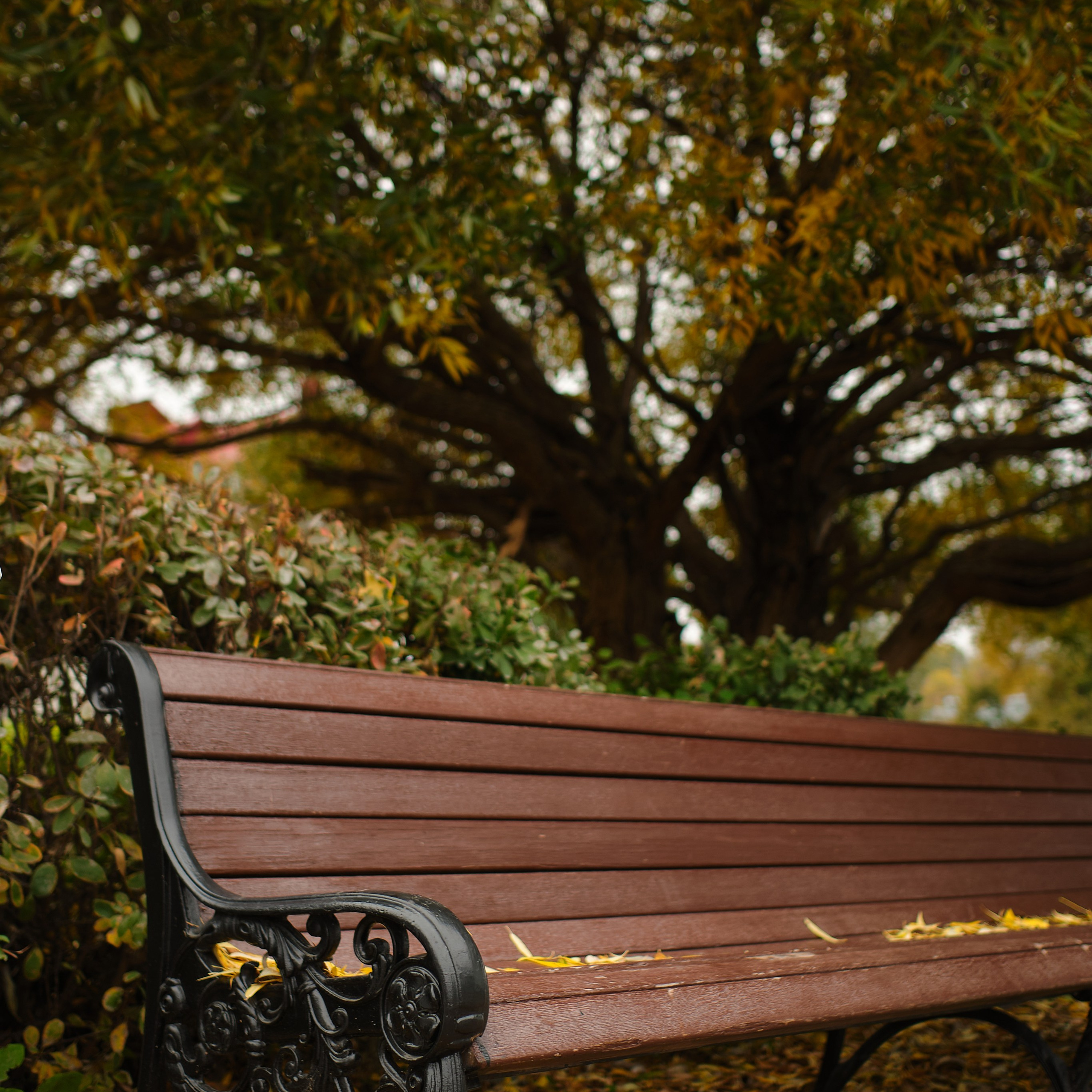 Город Белокуриха. Профессиональный фотограф Барнаул Анастасия Фримал