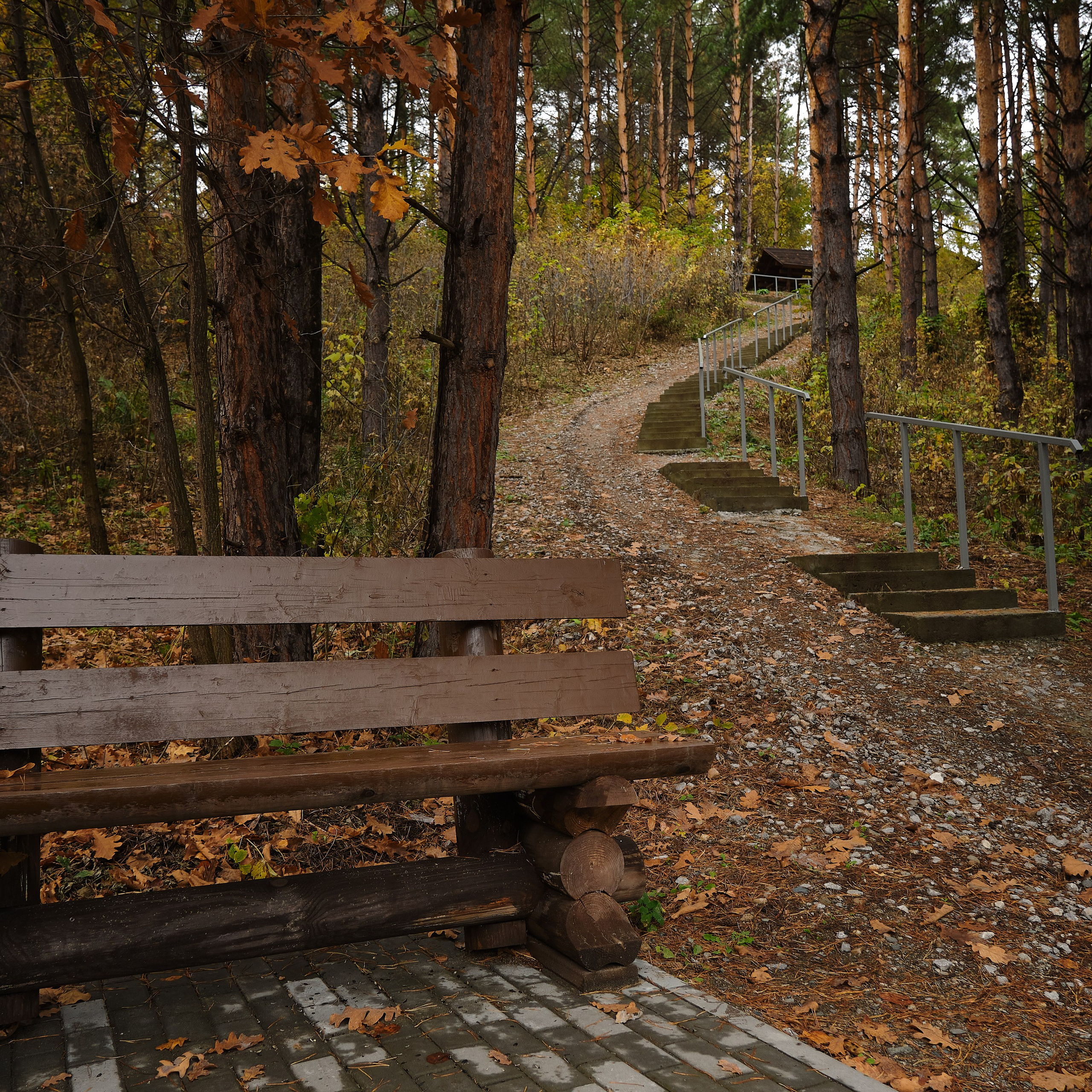 Город Белокуриха. Профессиональный фотограф Барнаул Анастасия Фримал