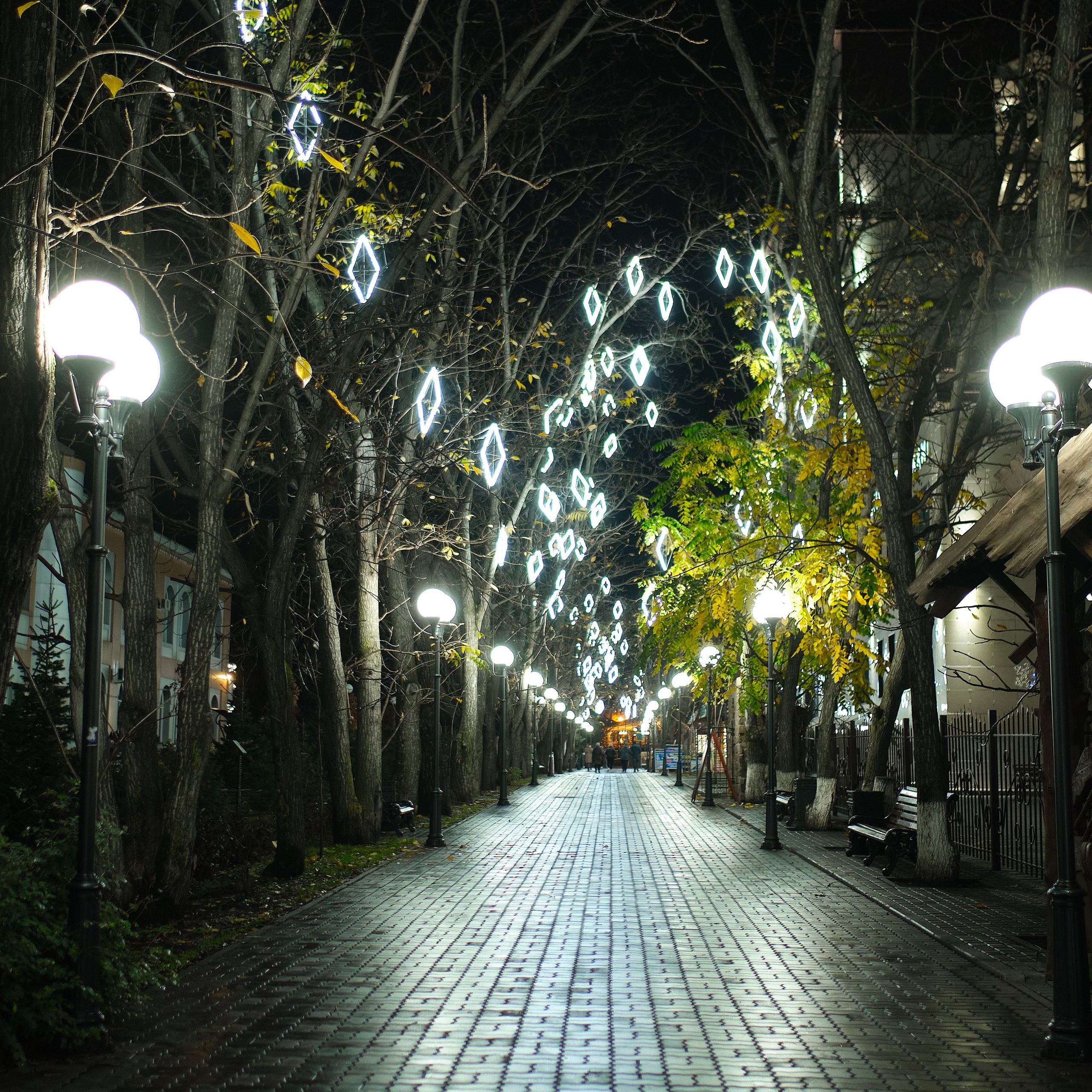 Город Белокуриха. Профессиональный фотограф Барнаул Анастасия Фримал