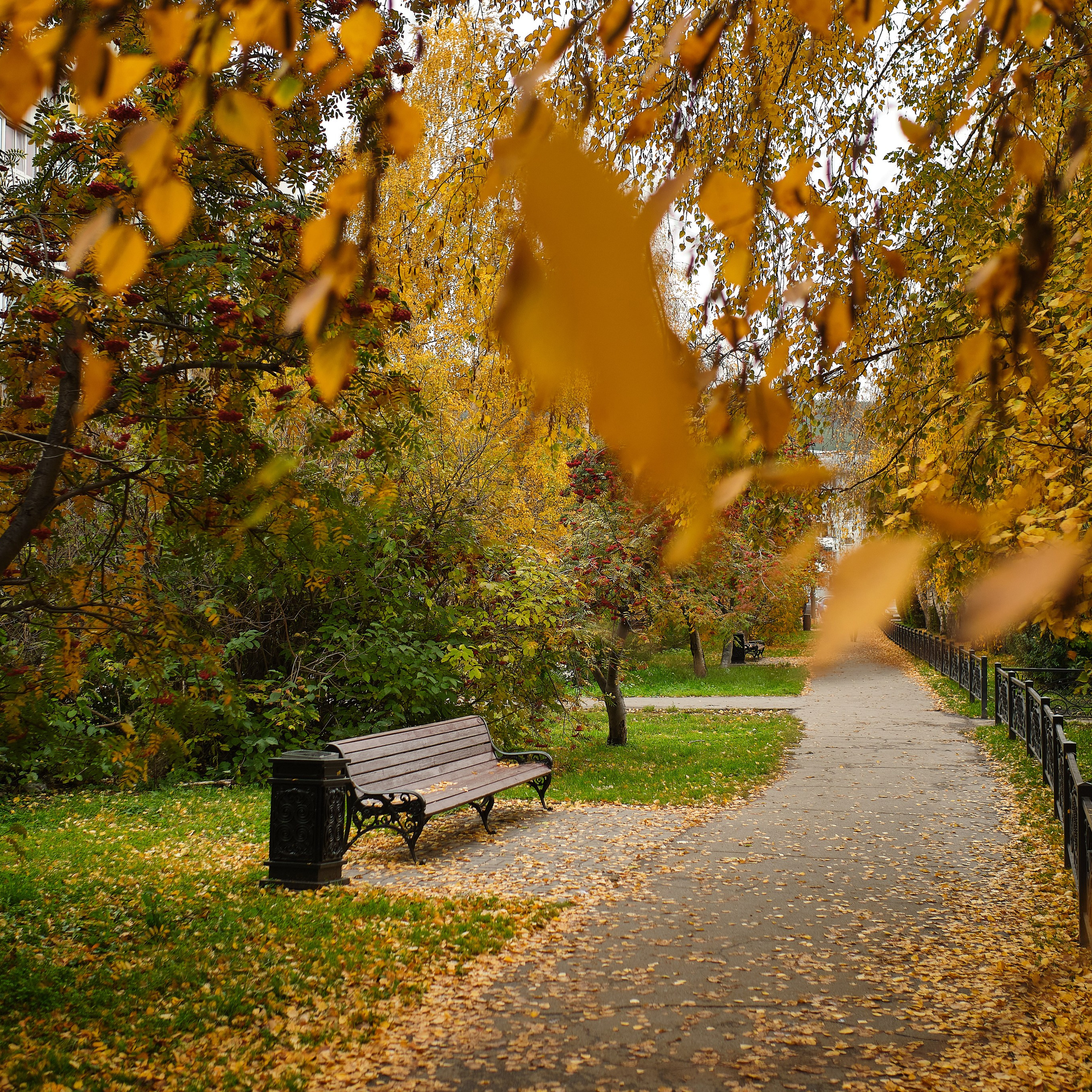 Город Белокуриха. Профессиональный фотограф Барнаул Анастасия Фримал