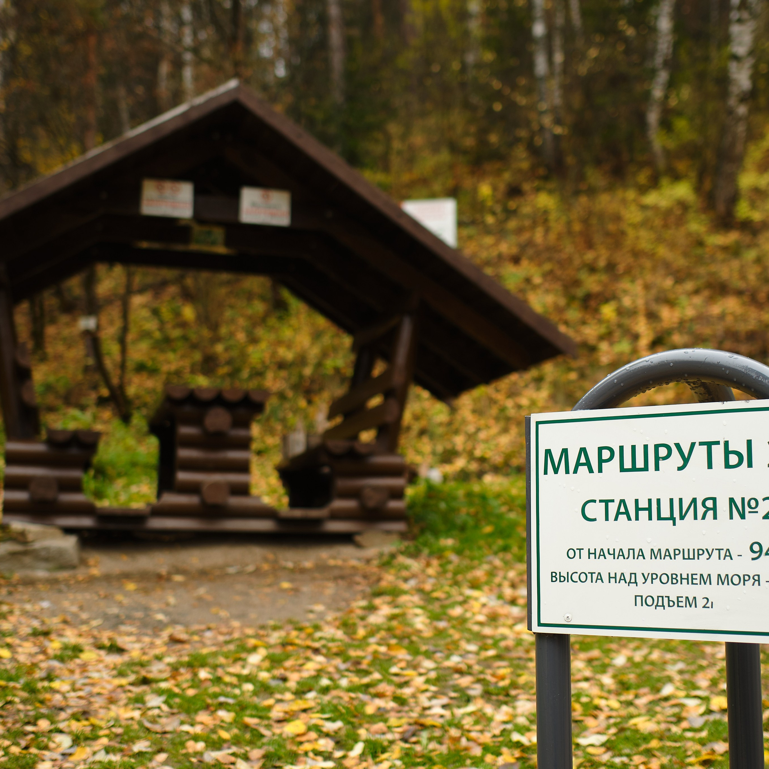 Город Белокуриха. Профессиональный фотограф Барнаул Анастасия Фримал