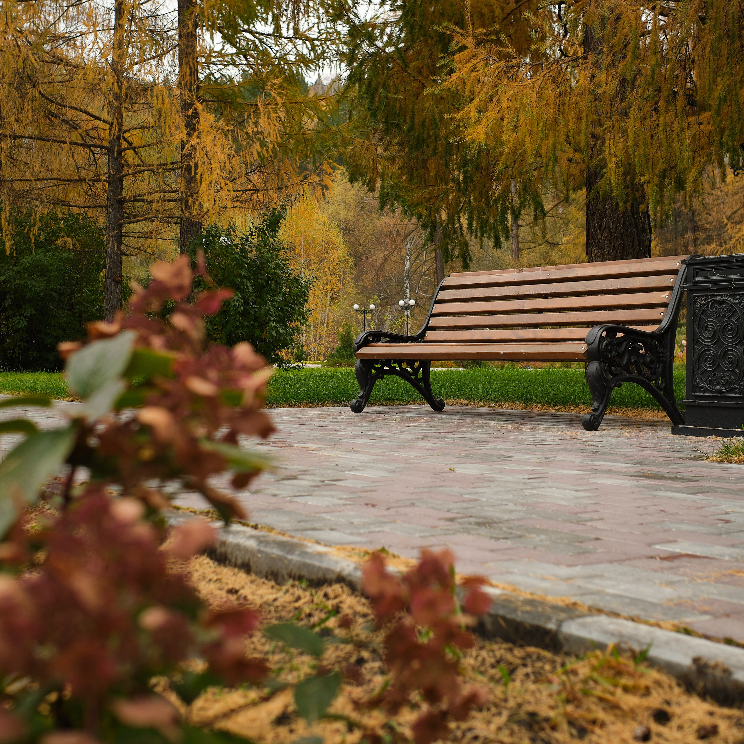 Город Белокуриха. Профессиональный фотограф Барнаул Анастасия Фримал