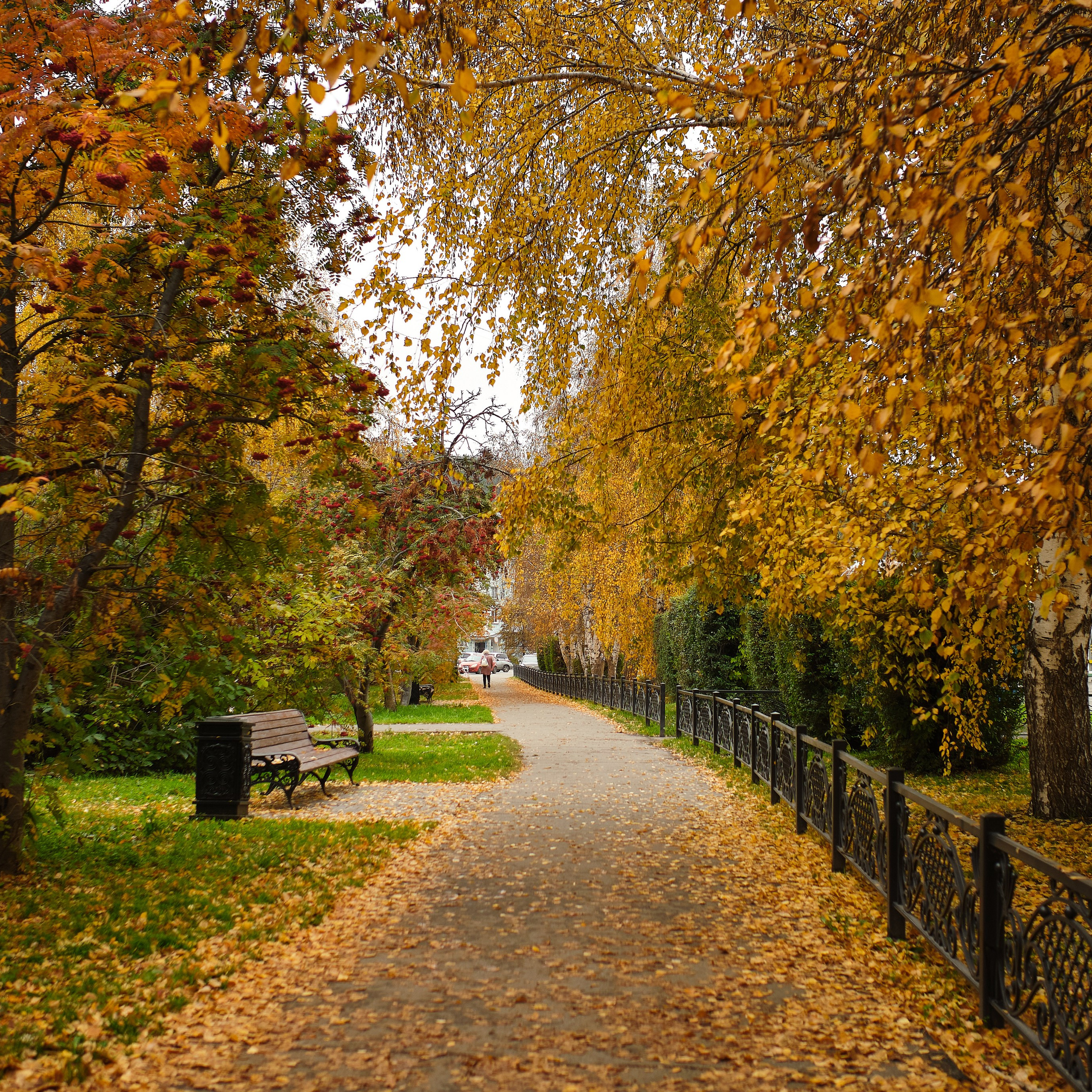 Город Белокуриха. Профессиональный фотограф Барнаул Анастасия Фримал