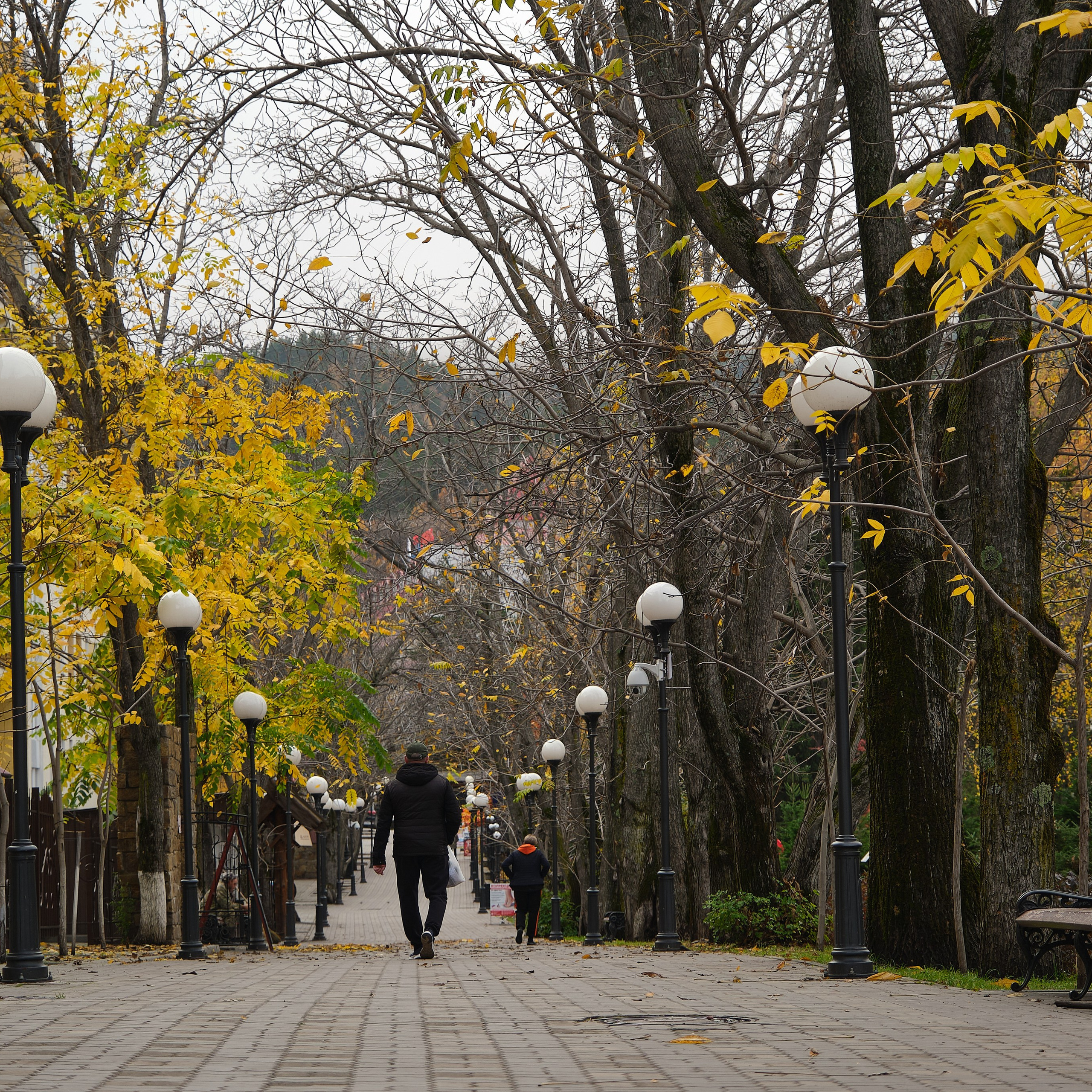 Город Белокуриха. Профессиональный фотограф Барнаул Анастасия Фримал