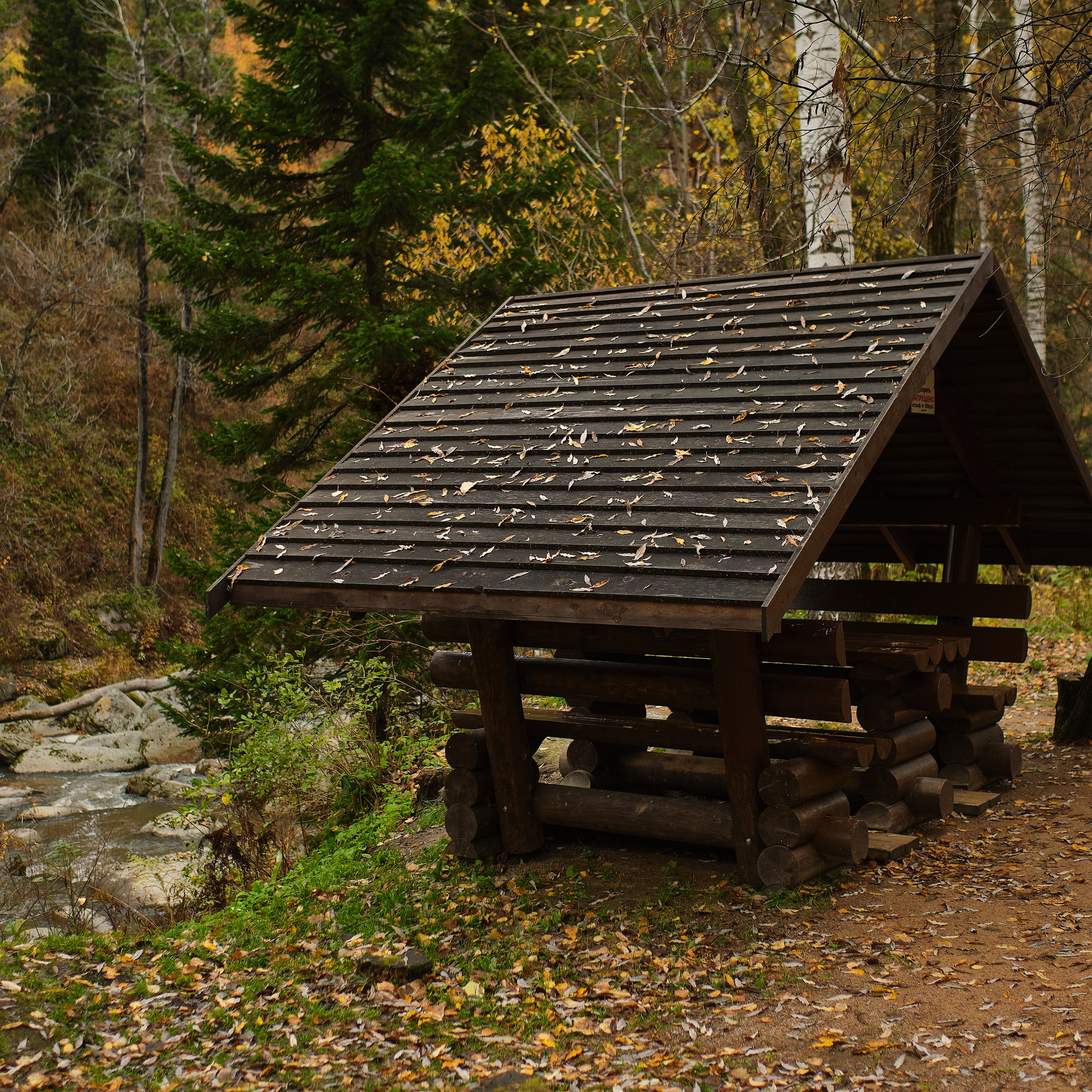 Город Белокуриха. Профессиональный фотограф Барнаул Анастасия Фримал