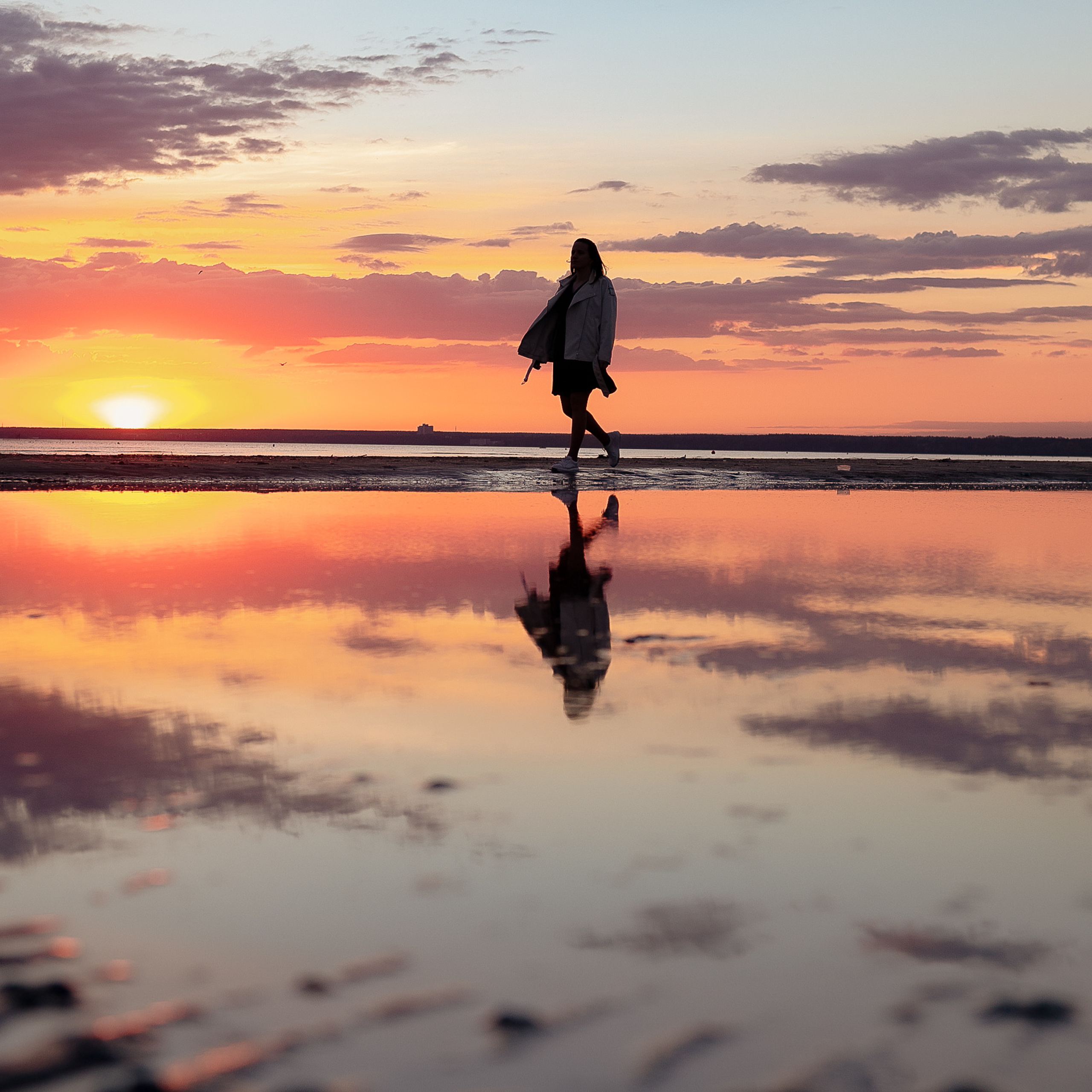Seagull sunset dress