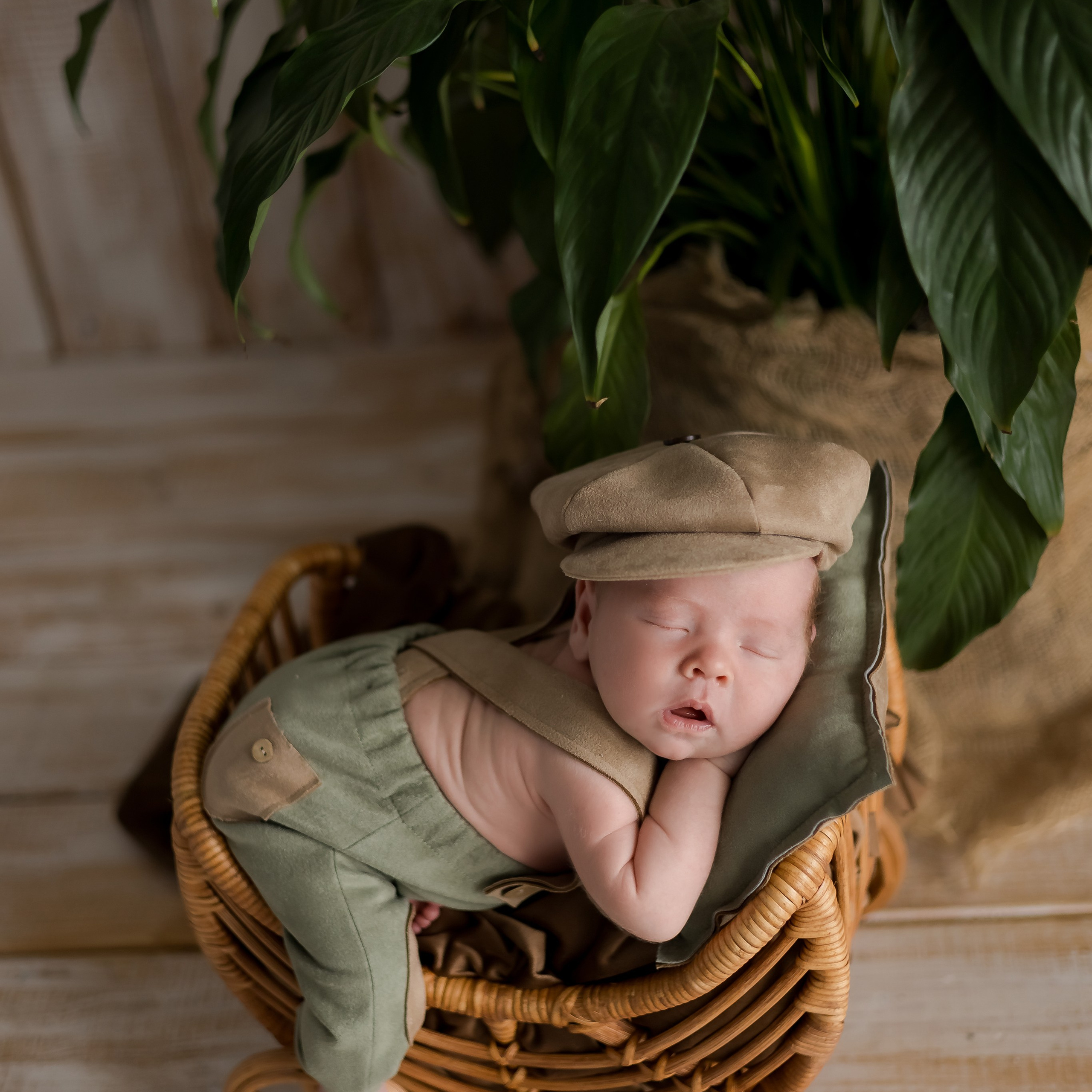 newborn