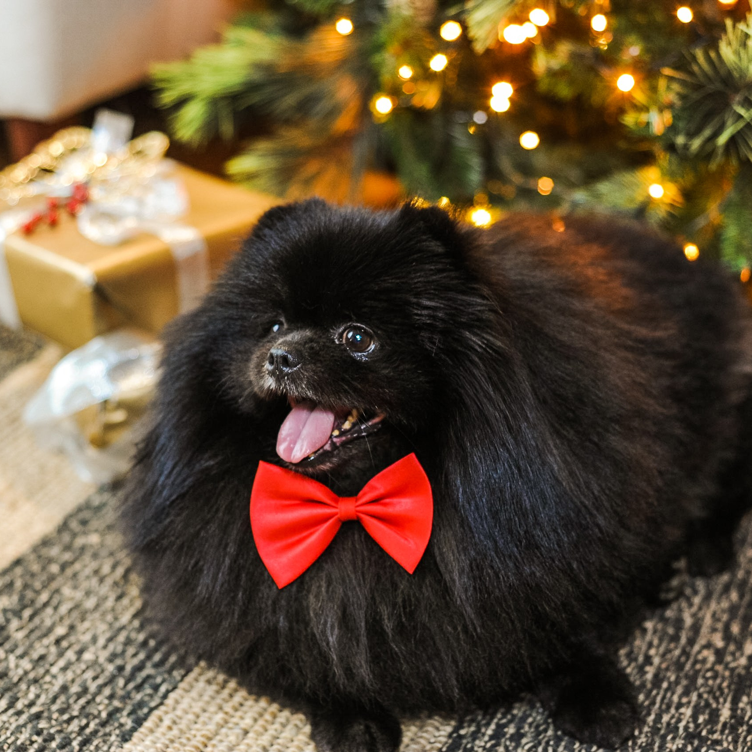 New Year's photo shoot