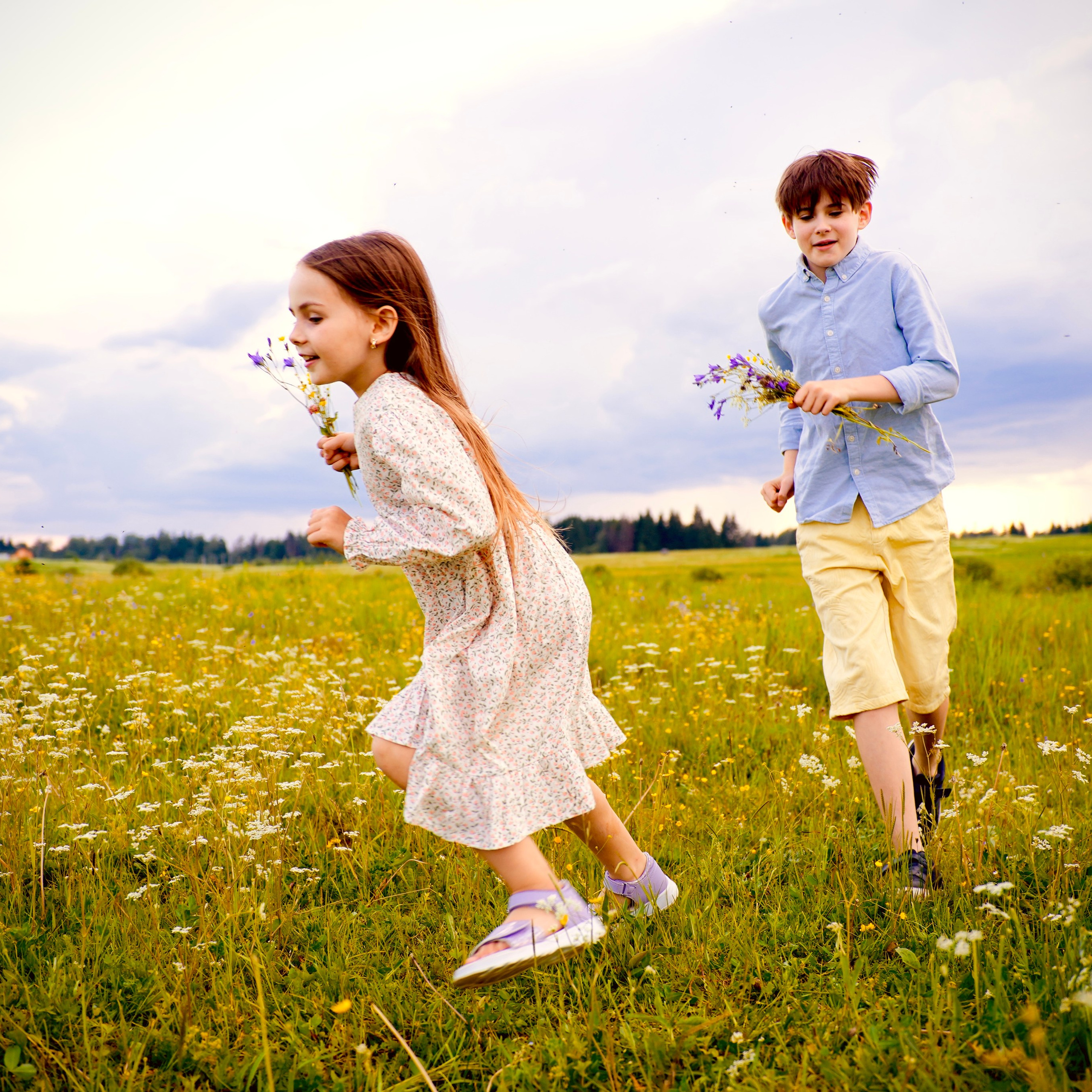 Лето в поле