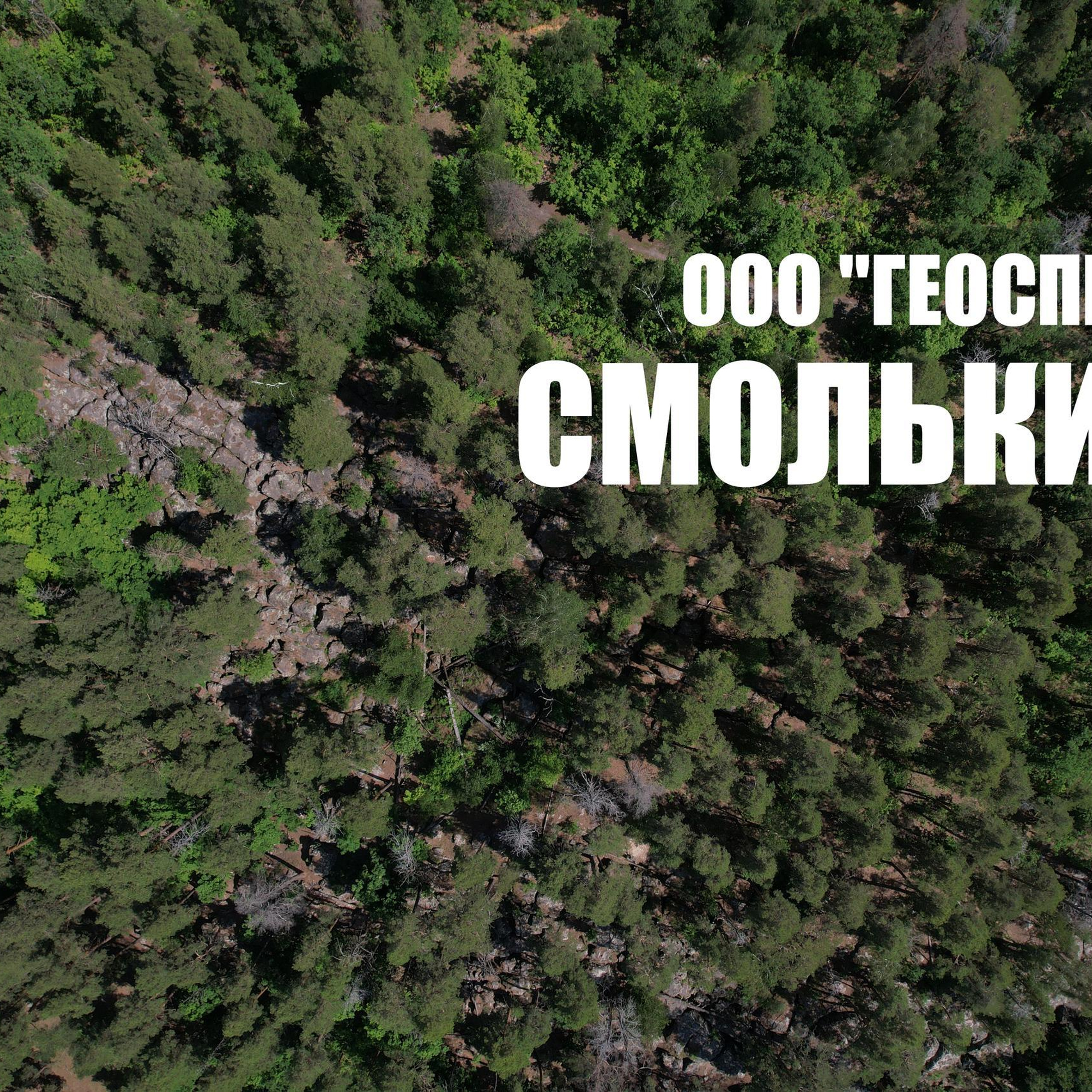 Отзывы к фотографиям. Свадебный, семейный и школьный фотограф в Сызрани Максим Баталов