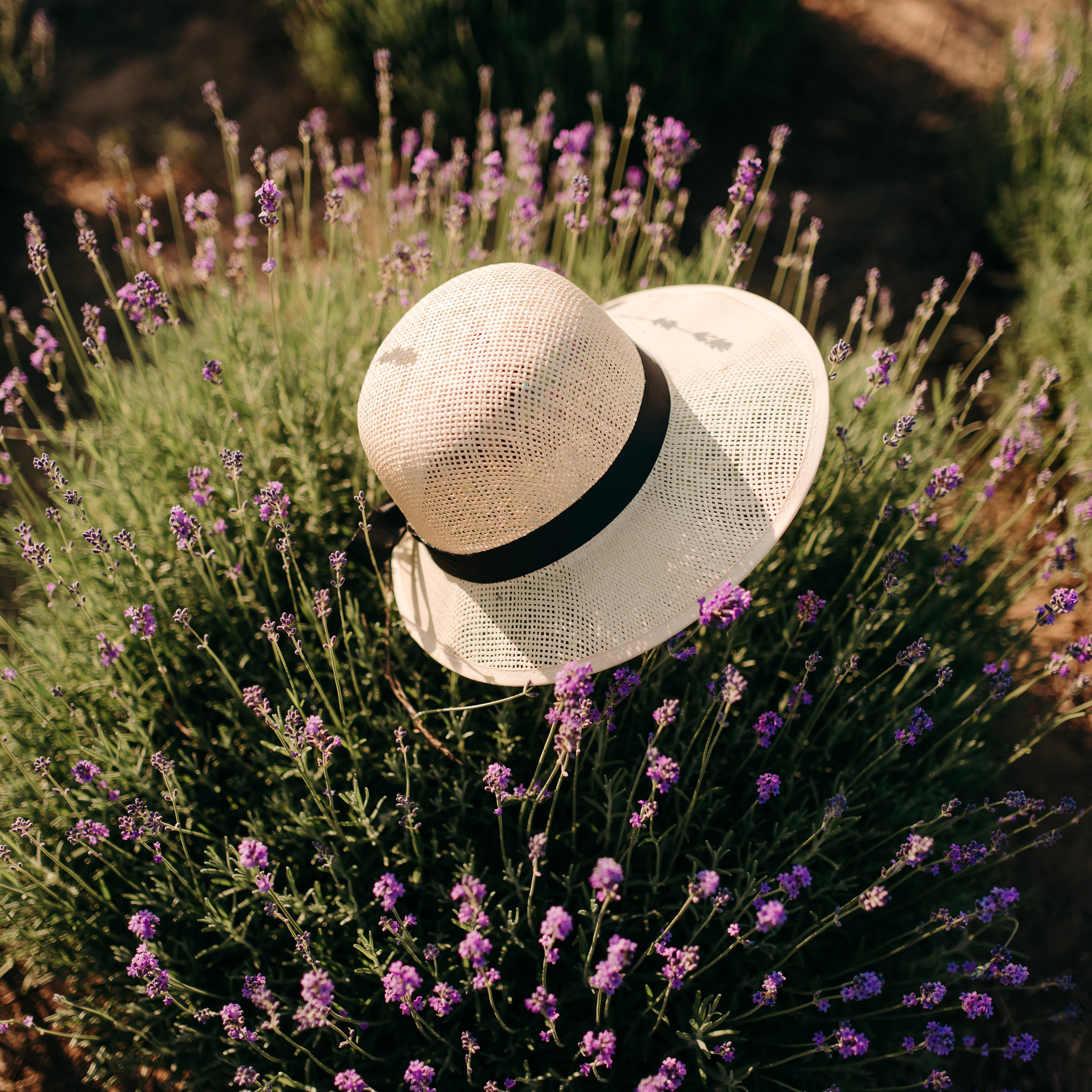 Отзывы. Профессиональный фотограф Тривашкевич Александр. Фотограф Тривашкевич Александр