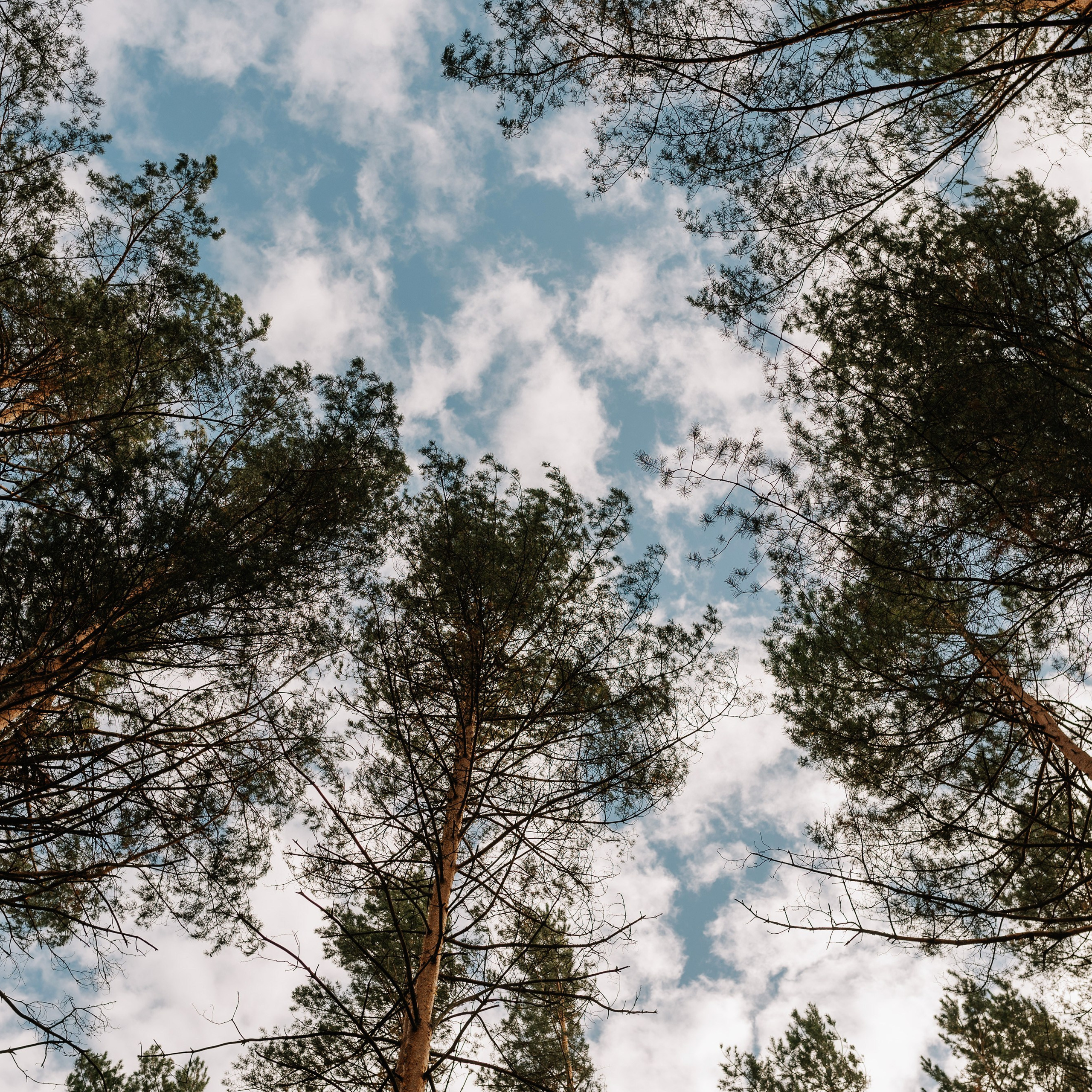 Отзывы. Профессиональный фотограф Тривашкевич Александр. Фотограф Тривашкевич Александр